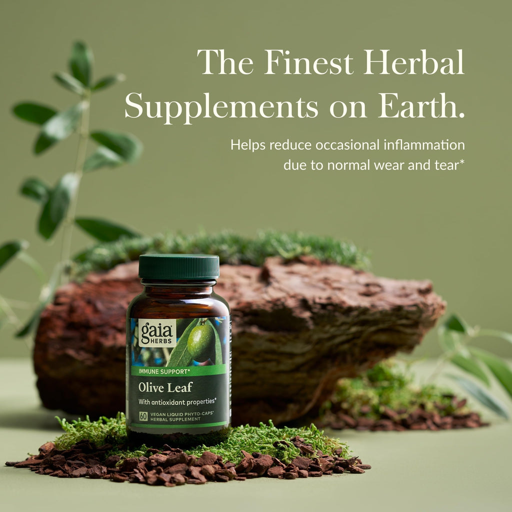 Gaia Herbs Olive Leaf - Traditional Immune Health Support | 60 Vegan Liquid Phyto-Caps