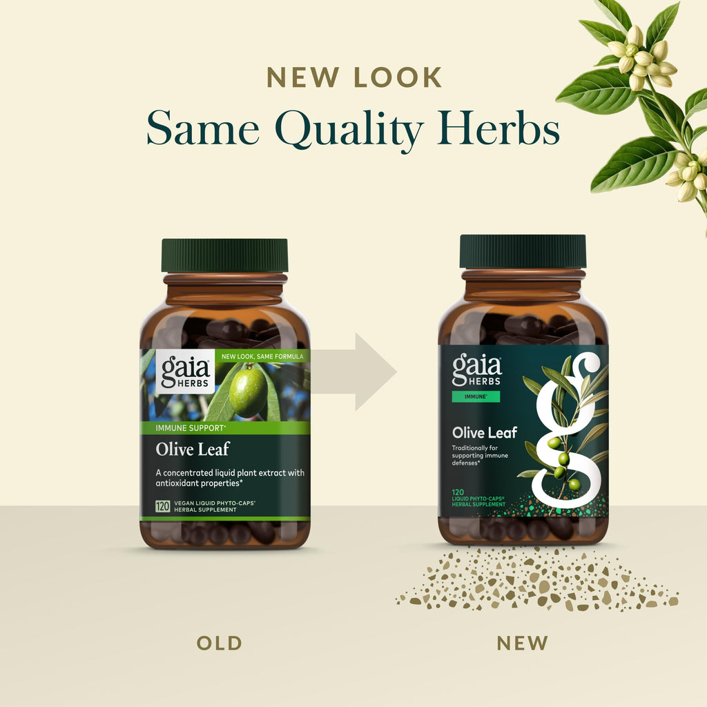 Gaia Herbs Olive Leaf - Traditional Immune Support with Oleuropein | 120 Vegan Liquid Phyto-Caps