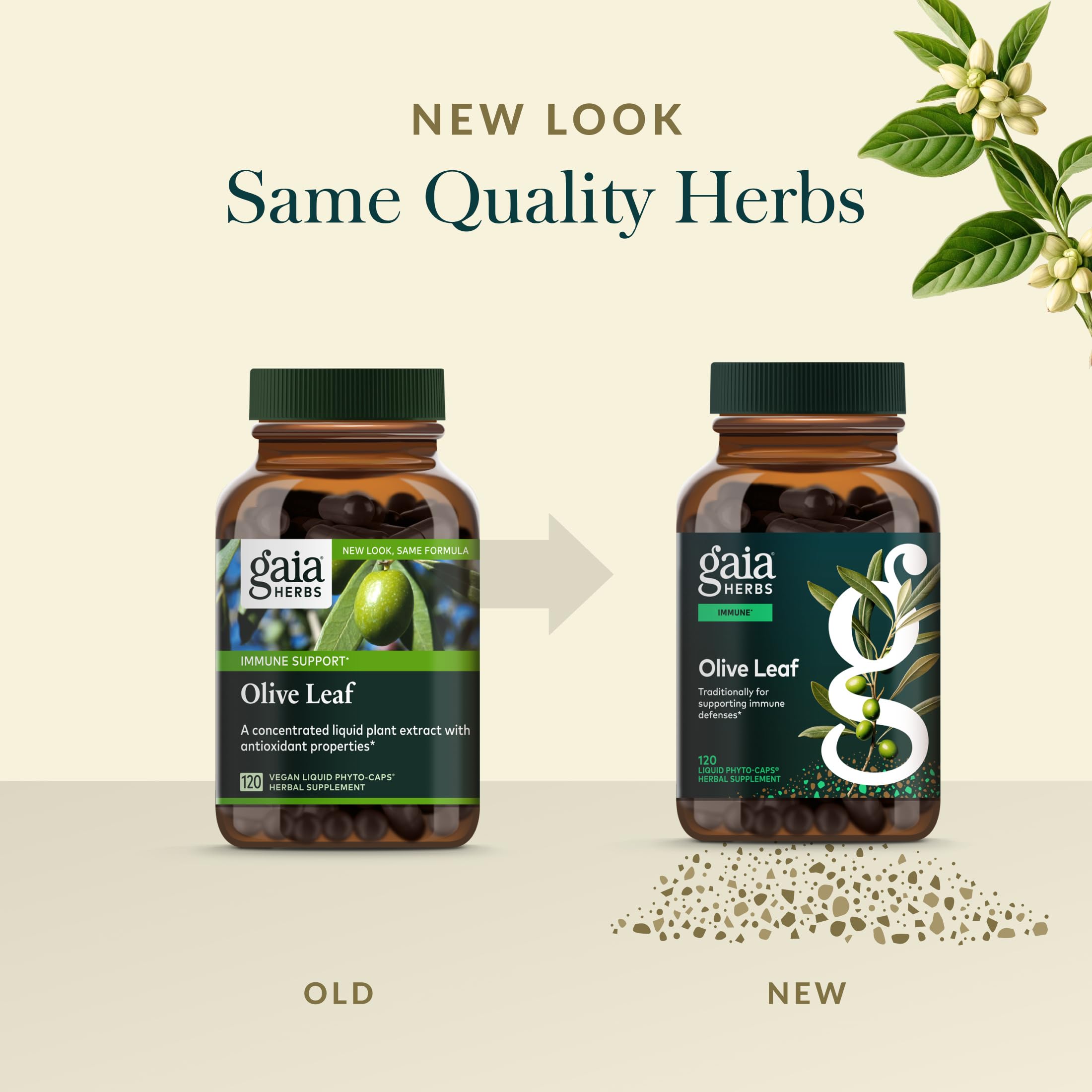 Gaia Herbs Olive Leaf - Traditional Immune Support with Oleuropein | 120 Vegan Liquid Phyto-Caps