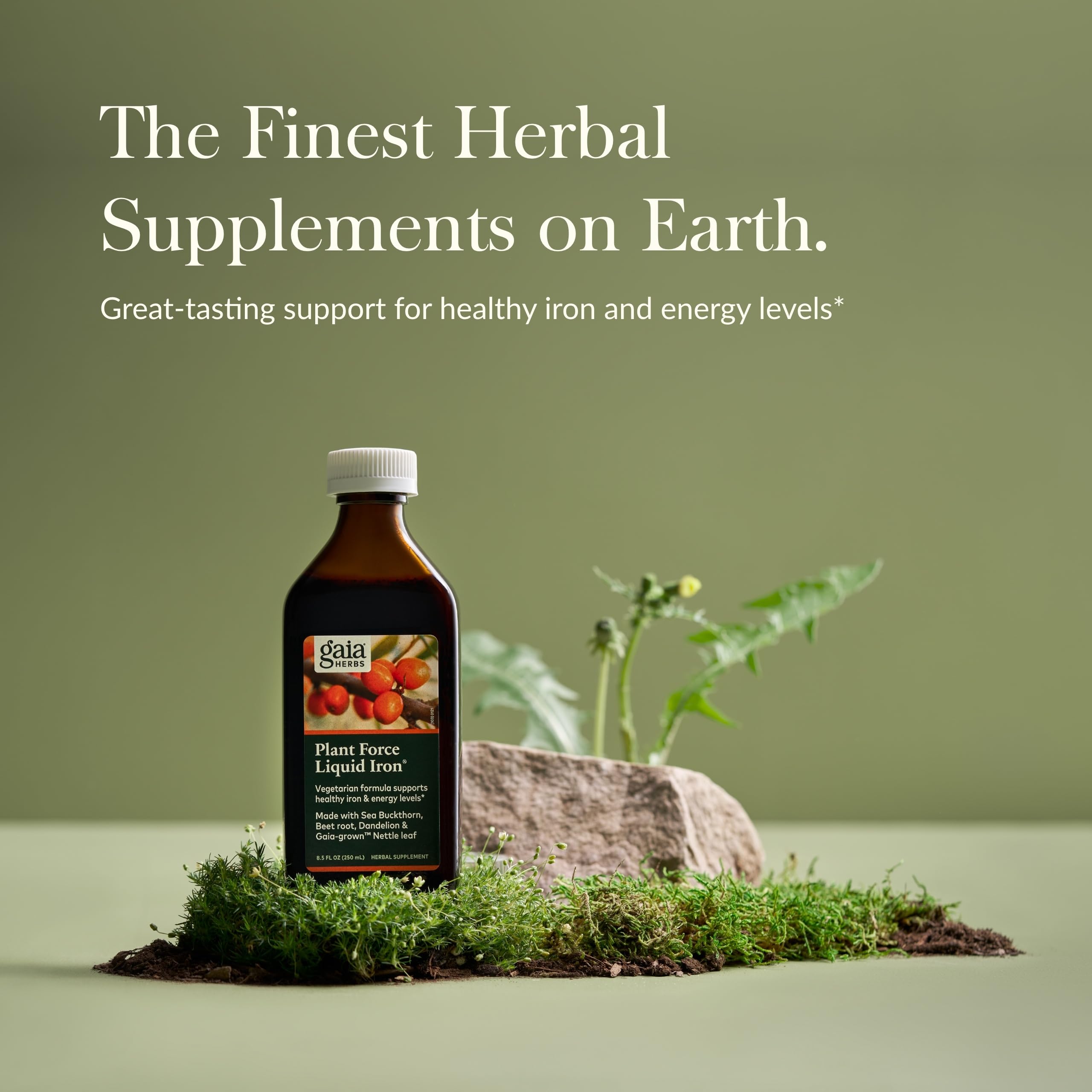 Gaia Herbs Plant Force Liquid Iron - Vegetarian Iron & Energy Support | 8.5 Fl Oz