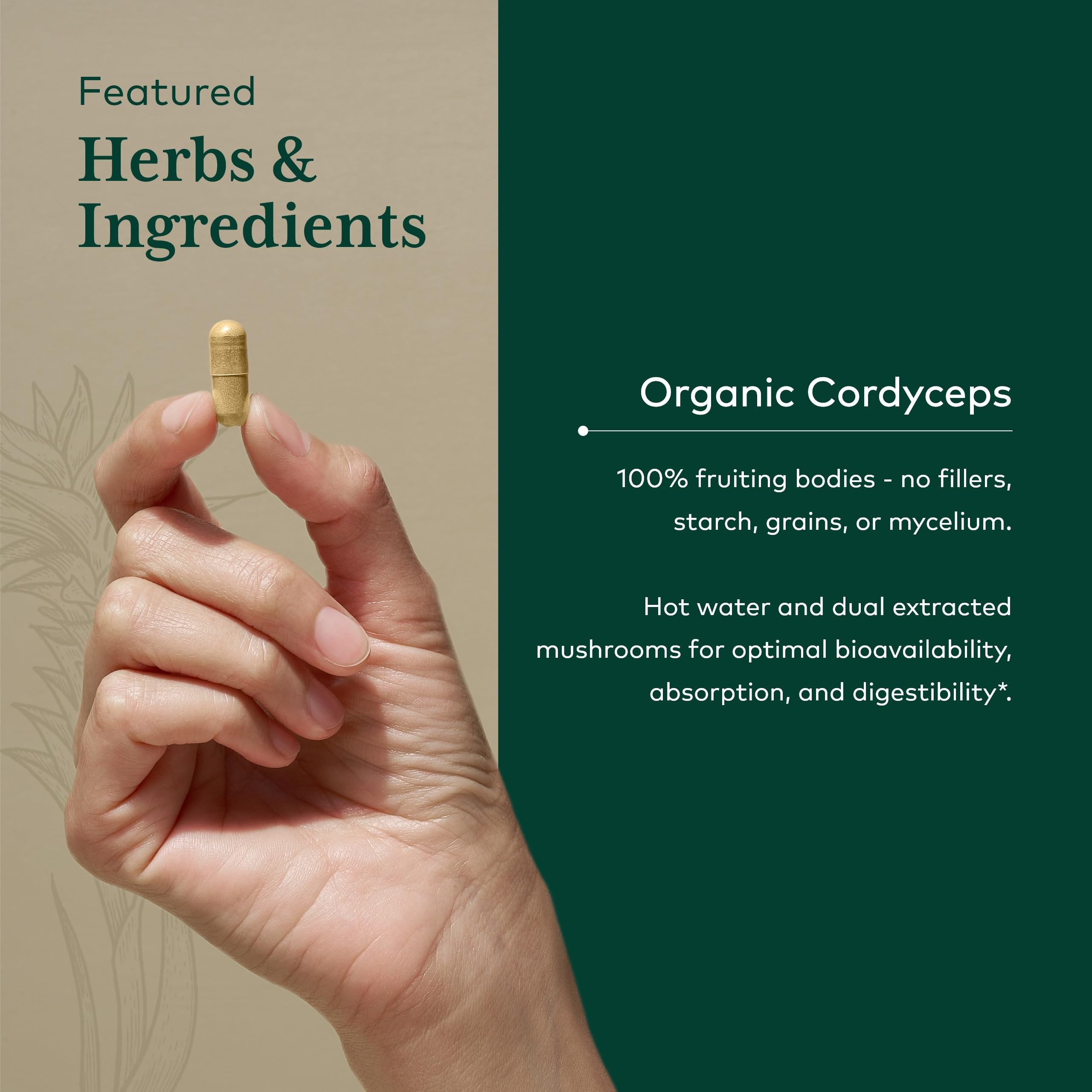 GAIA HERBS PRO Cordyceps Mushroom - 60 Caps | 5,000 mg per 2 Caps | Adaptogenic Energy