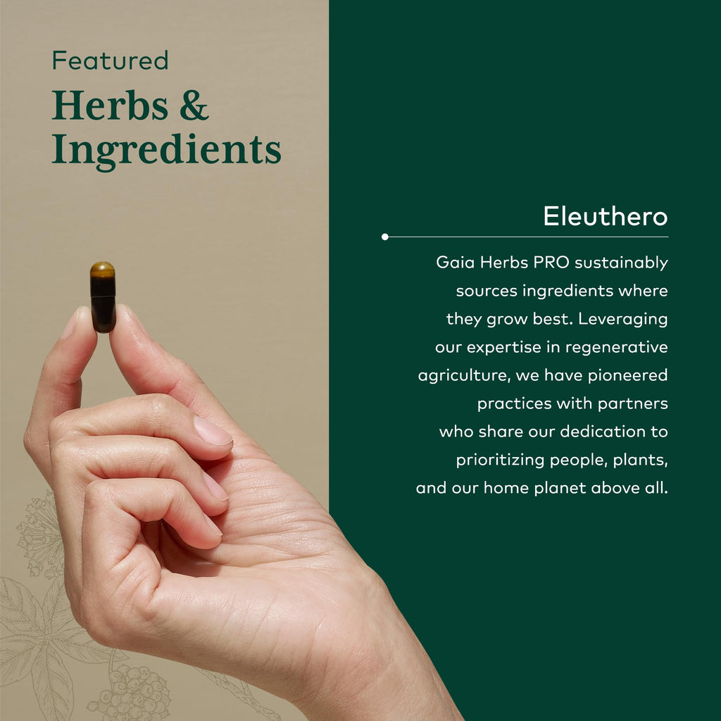 Gaia Herbs PRO Eleuthero - Adaptogen Supplement for Stress & Energy | 60 Vegan Liquid Phyto-Capsules (60 Servings)