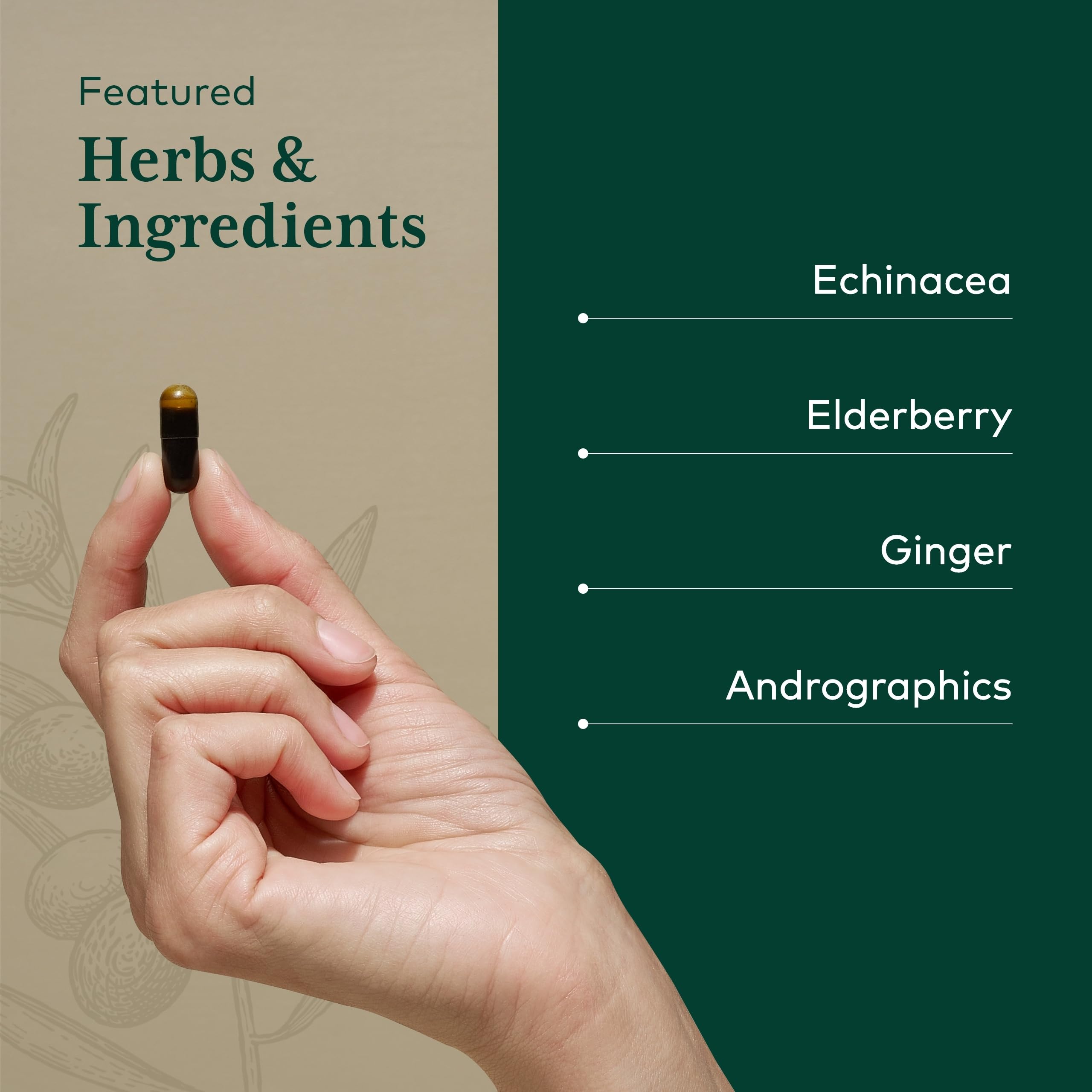 Gaia Herbs Pro Immune Activator - Immune Support (Echinacea, Elderberry)