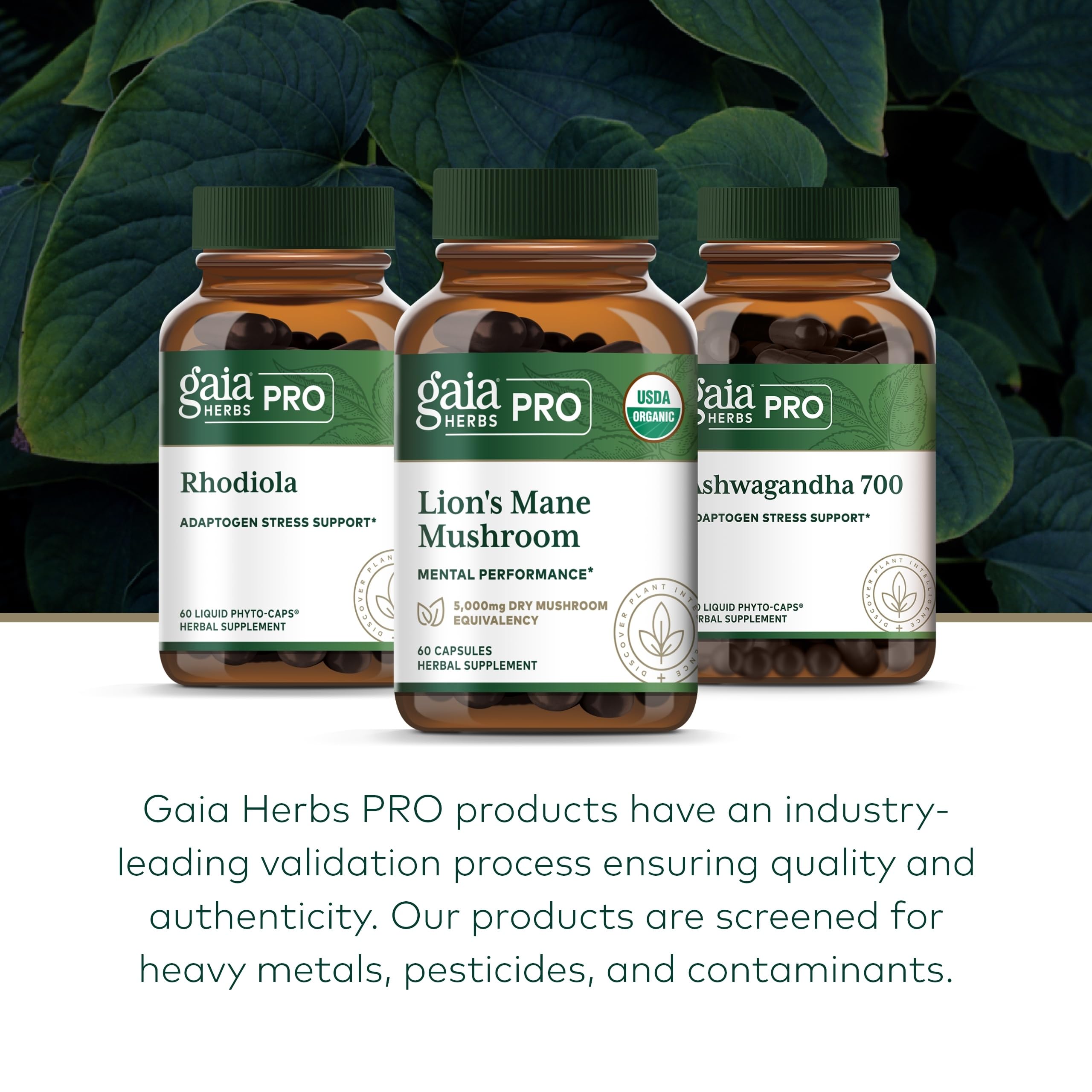 Gaia Herbs PRO Lions Mane Mushroom - Brain Health, 2,500mg/Serving, 60 Capsules, Organic