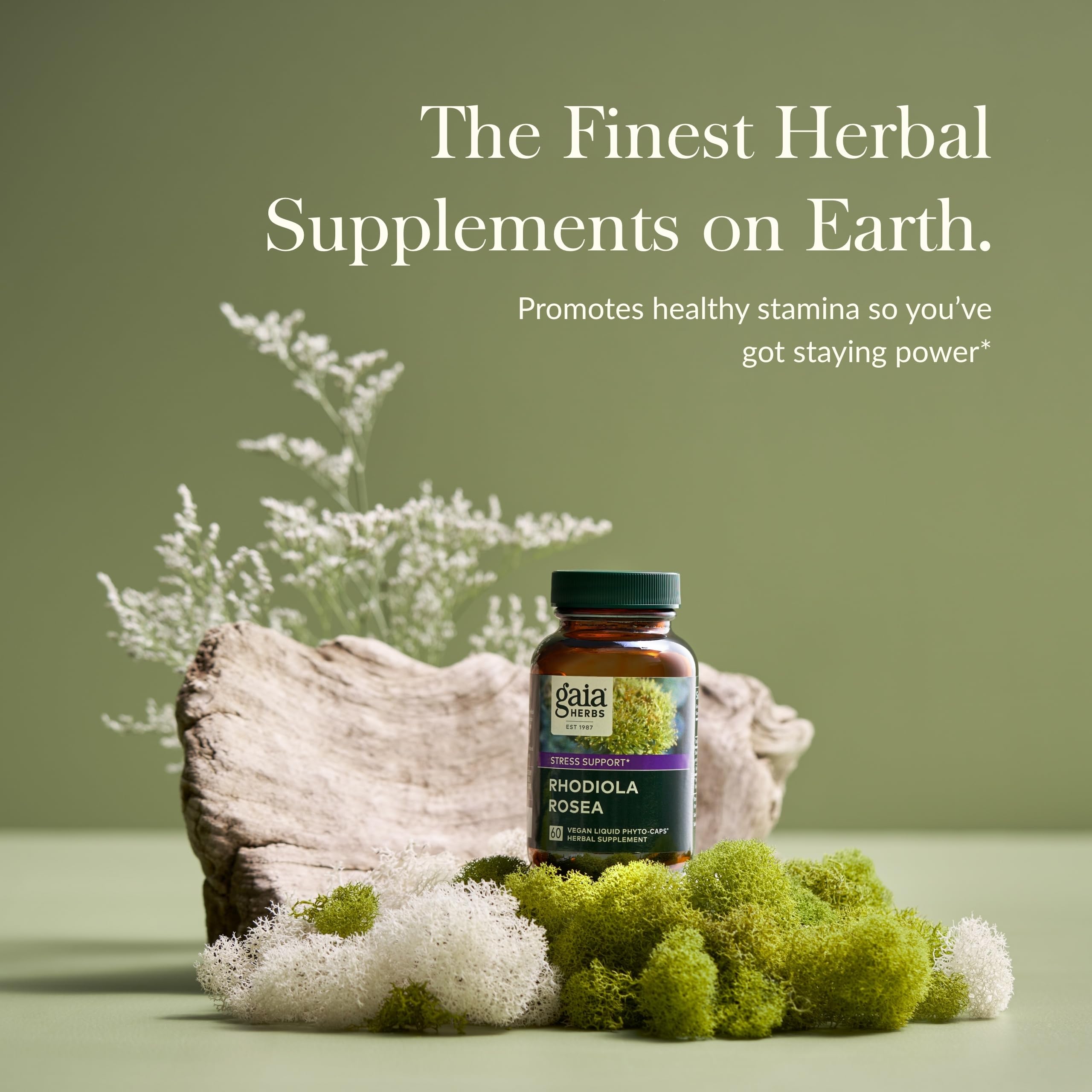 Gaia Herbs Rhodiola Rosea - Stress Support & Endurance | 60 Vegan Liquid Phyto-Capsules