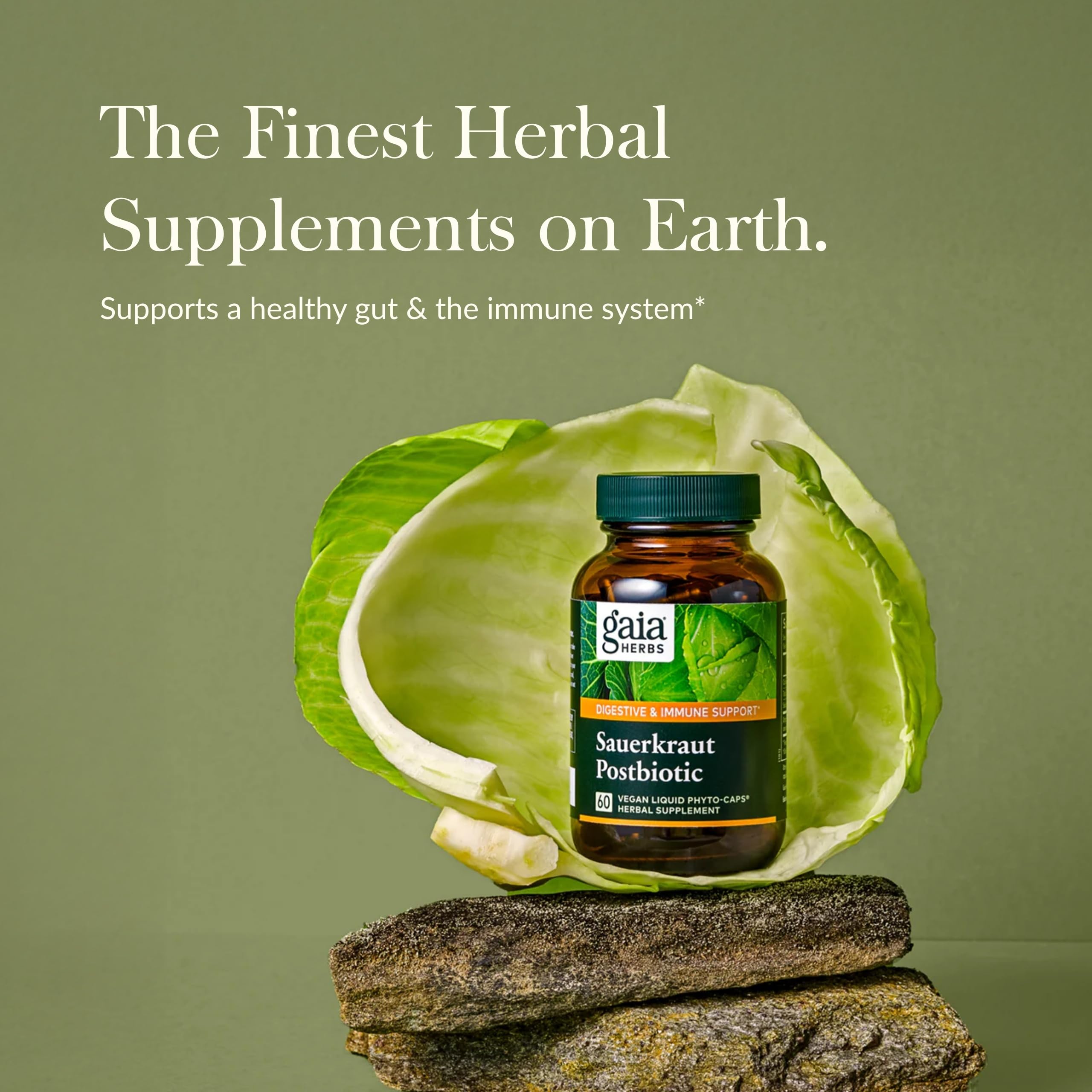 Gaia Herbs Sauerkraut Postbiotic - Natural Gut Health & Immune Support - 60 Vegan Capsules