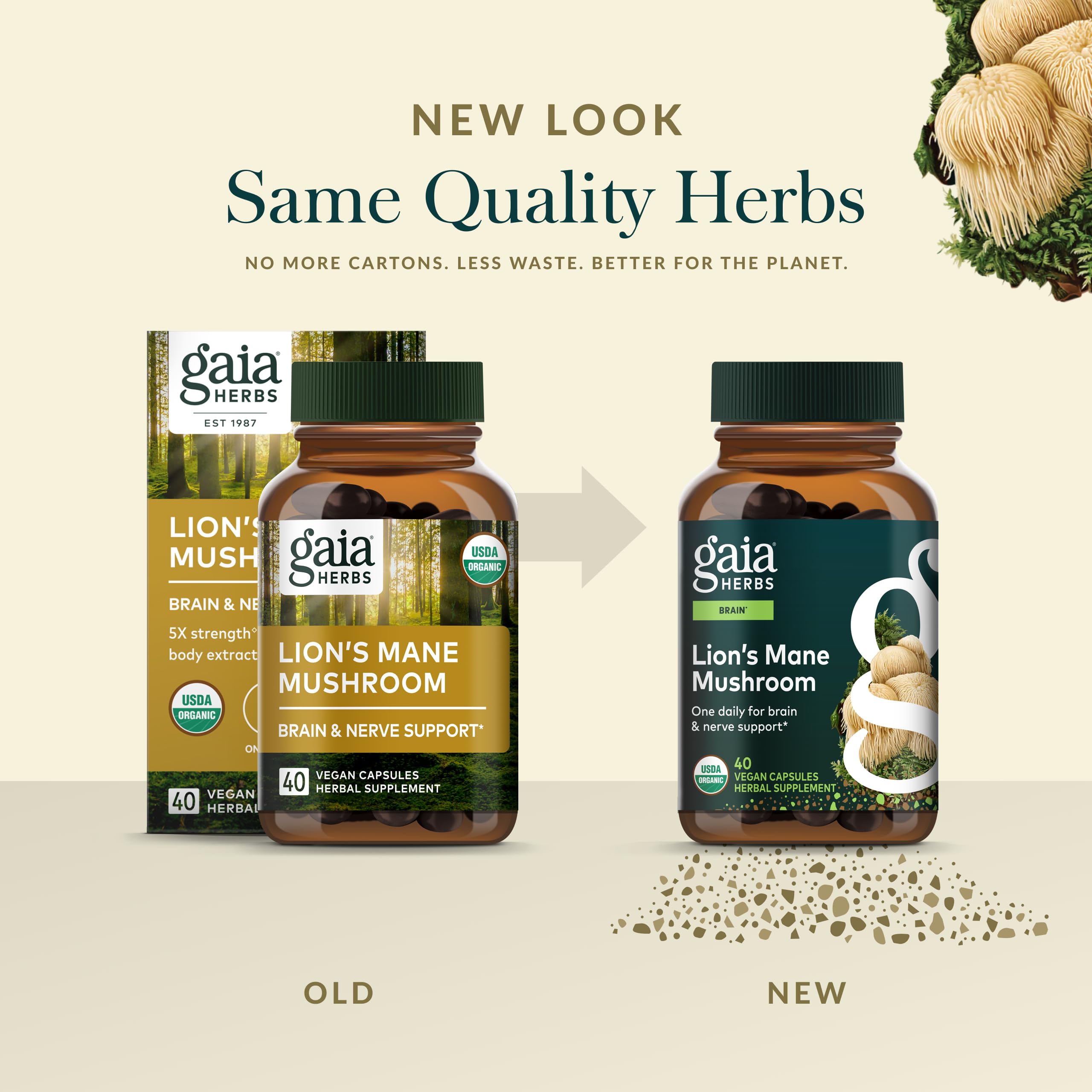 Gaia Herbs Lion’s Mane Mushroom – Brain & Nerve Health Support* | 40 Vegan Capsules
