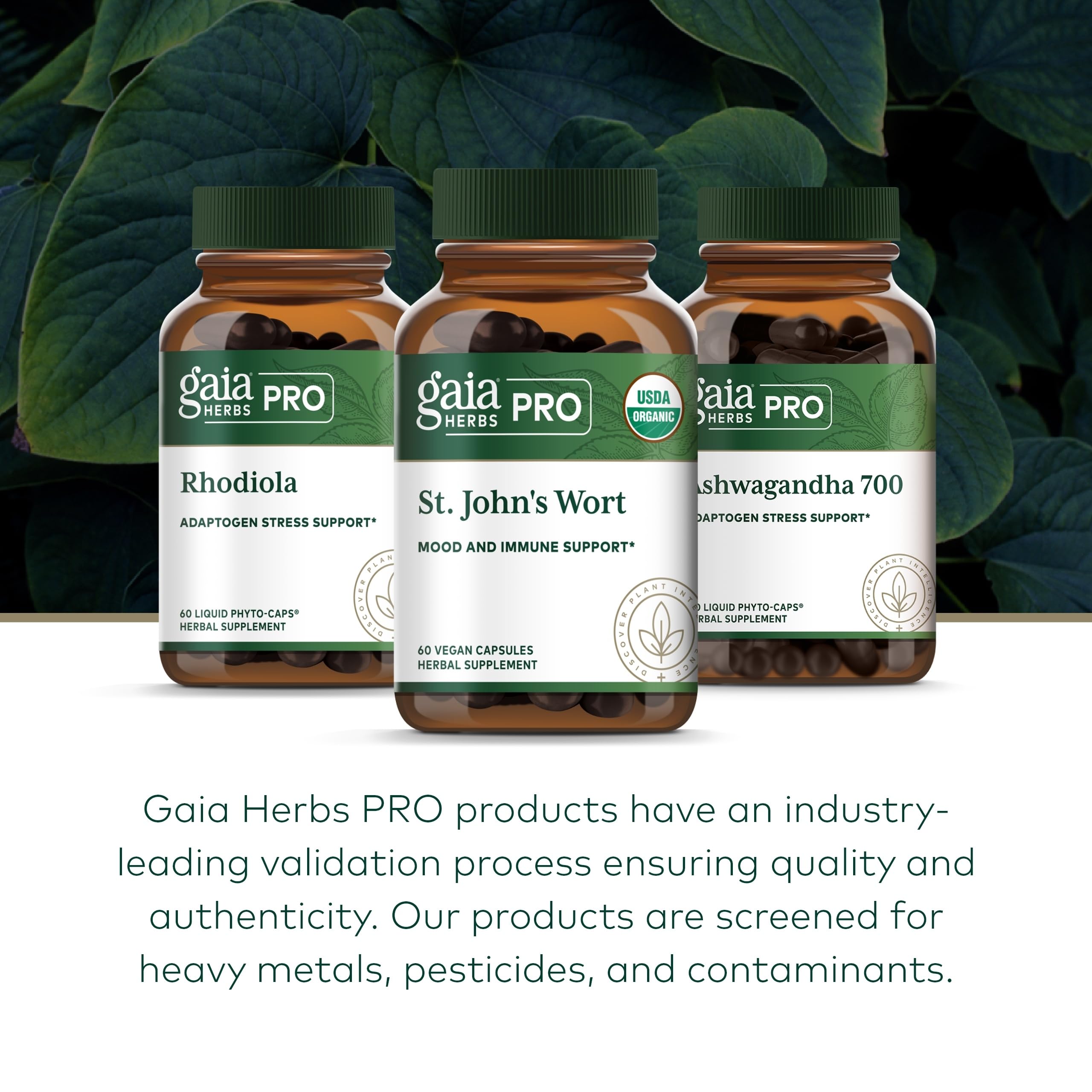 Gaia Herbs Pro St. John's Wort – Immune & Brain Health, 60 Liquid Phyto-Caps (30 Servings)