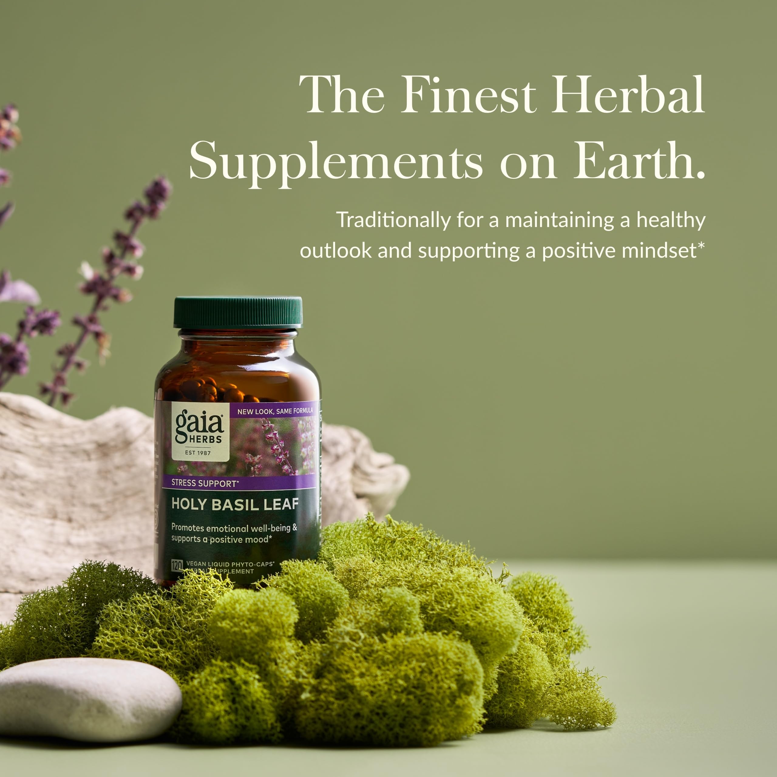 Gaia Herbs Holy Basil Leaf | Adaptogenic Ayurvedic Stress Support | 120 Vegan Liquid Phyto-Caps (60 Servings)