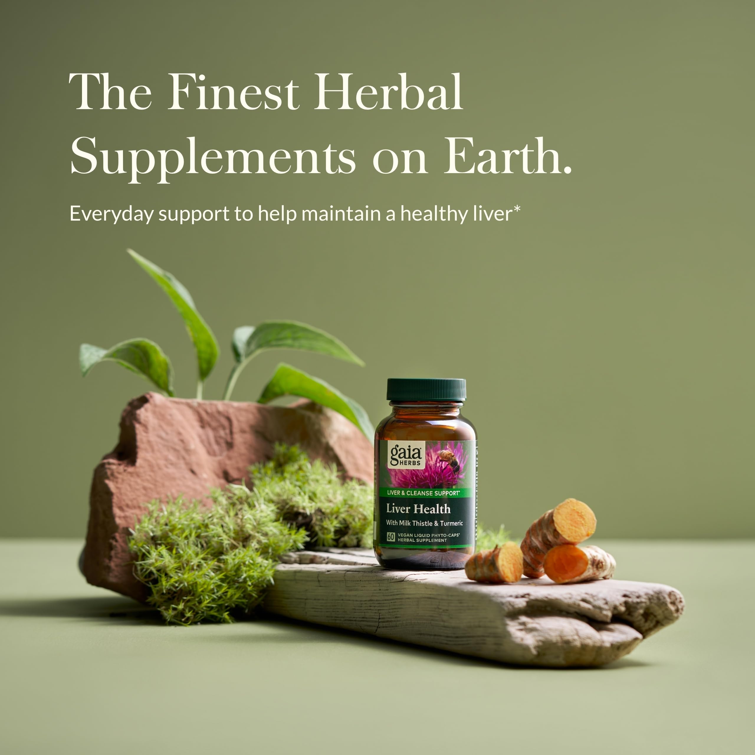 Gaia Herbs Liver Health - Liver Support with Milk Thistle, Turmeric, Schisandra & Licorice Root | 60 Vegan Liquid Phyto-Capsules (30-Day Supply)