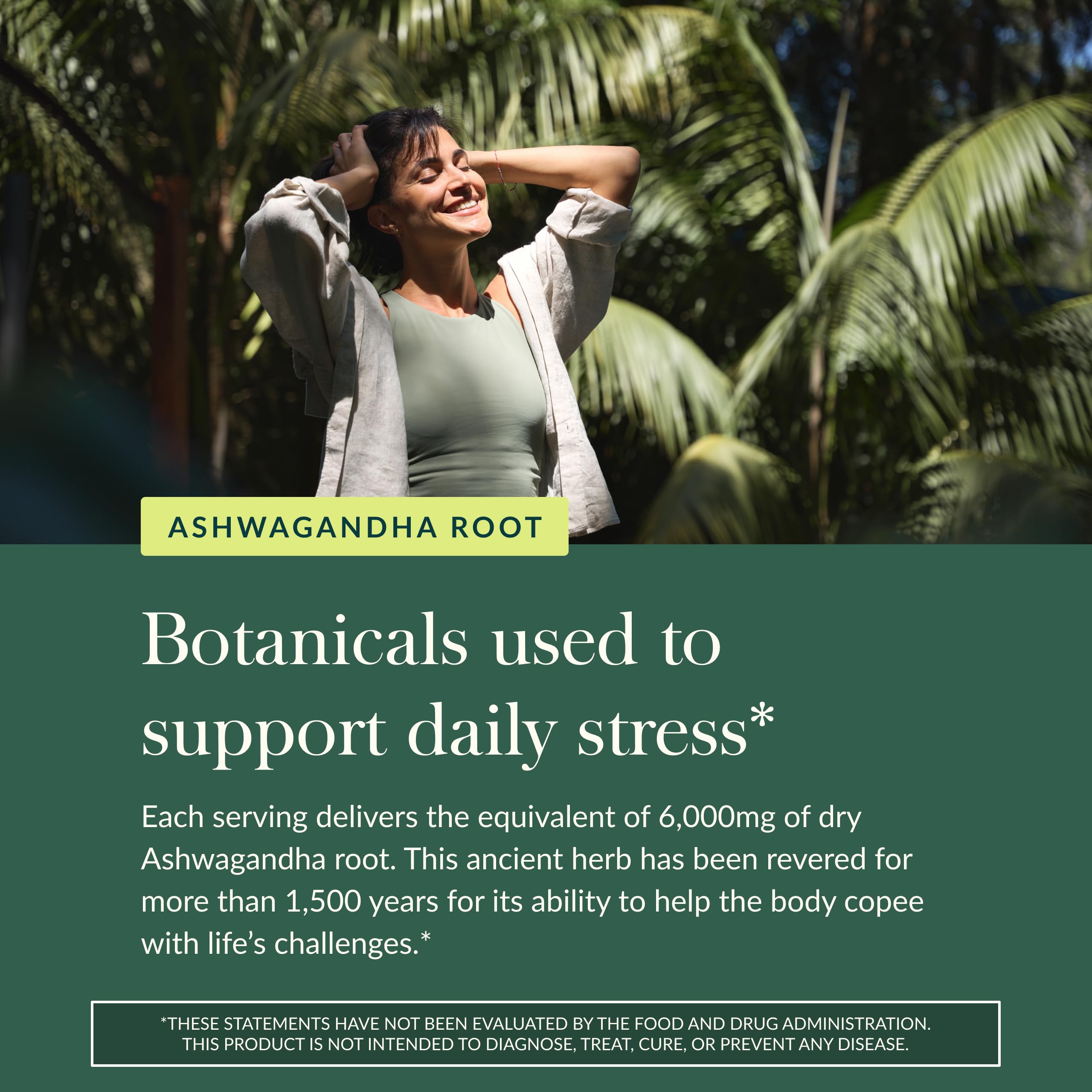 Gaia Herbs Organic Ashwagandha Gummies – Stress Support* | Cinnamon & Ginger | Gluten Free & Vegan | 81 Count