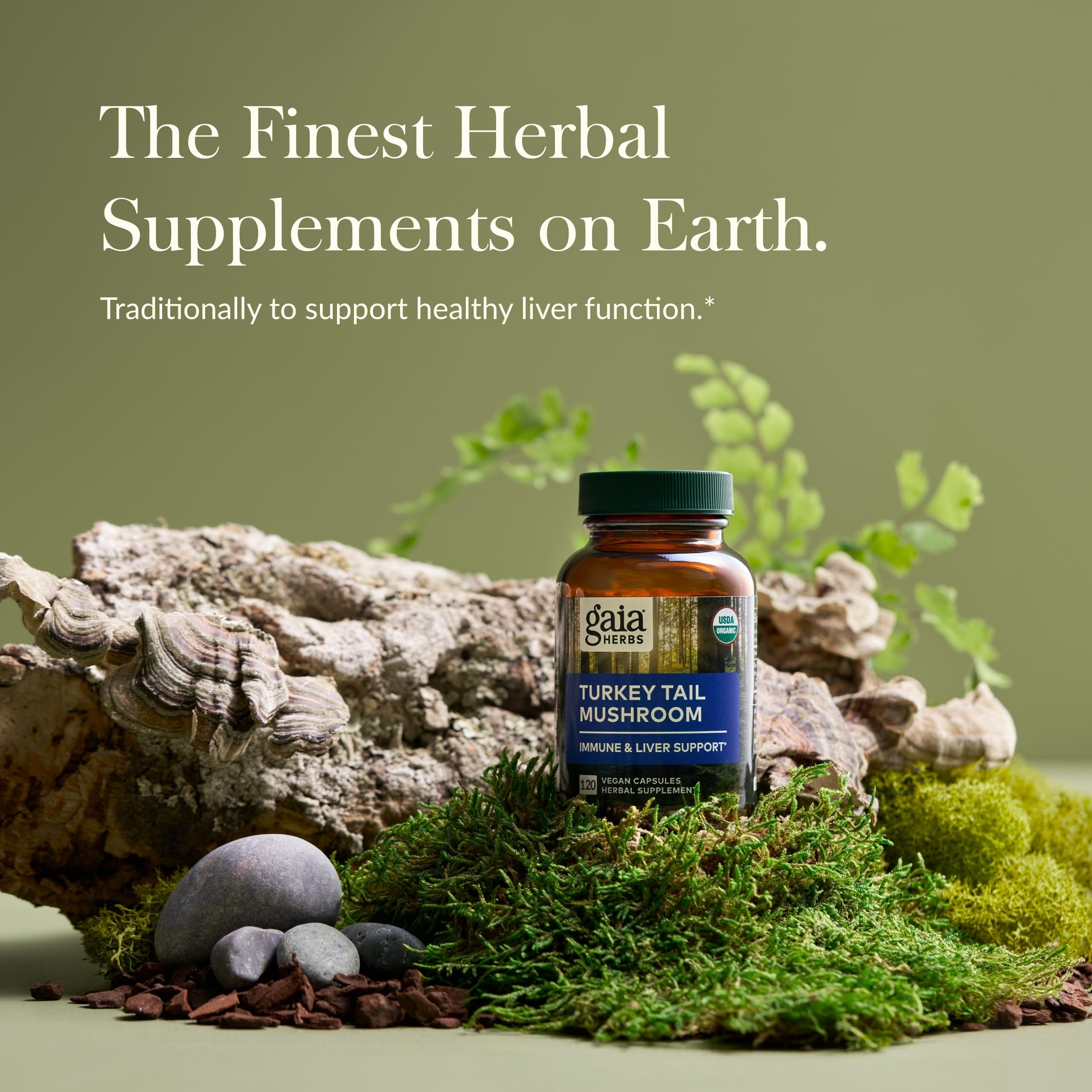 Gaia Herbs Turkey Tail Mushroom – Immune Support & Liver Health, 120 Vegan Capsules