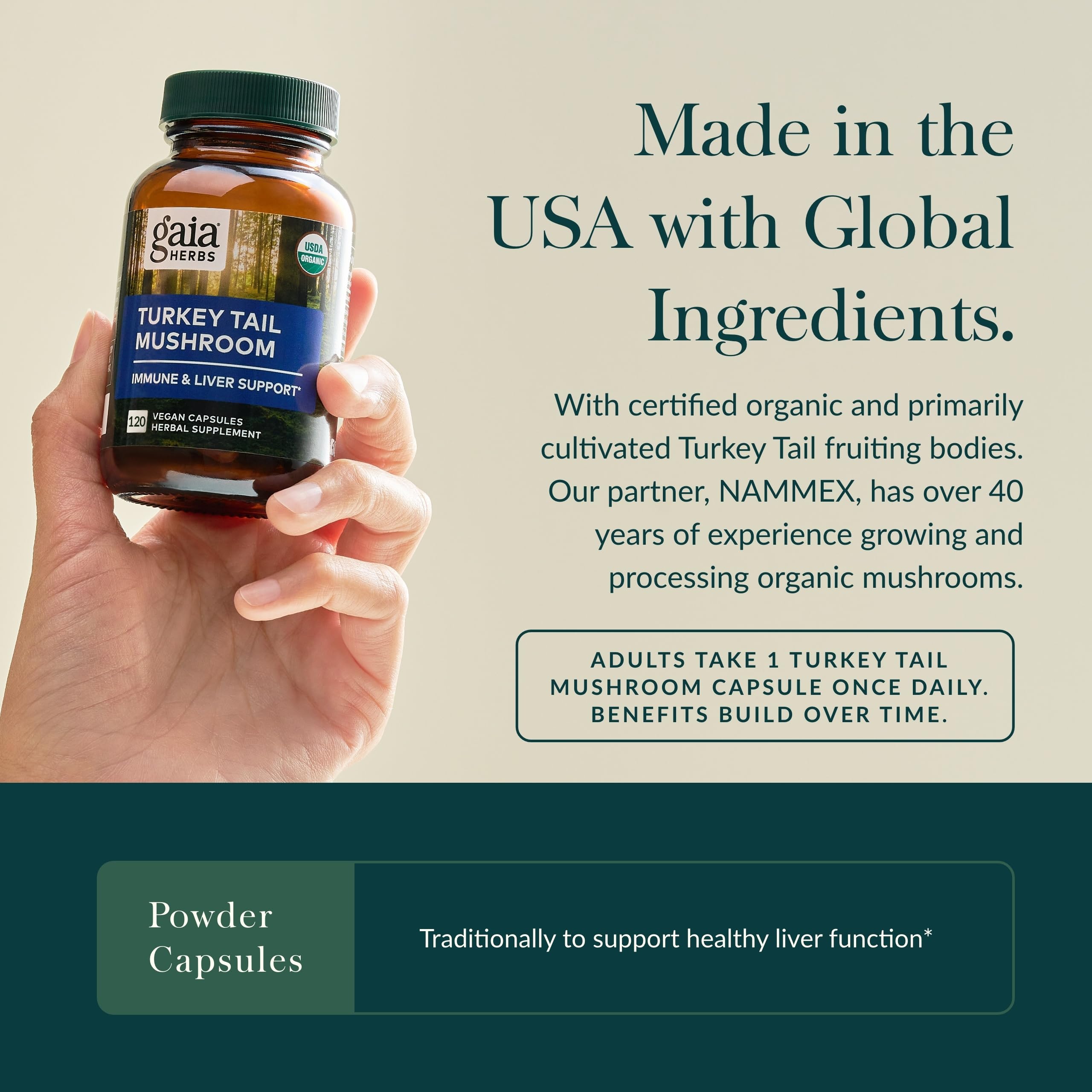 Gaia Herbs Turkey Tail Mushroom – Immune Support & Liver Health, 120 Vegan Capsules