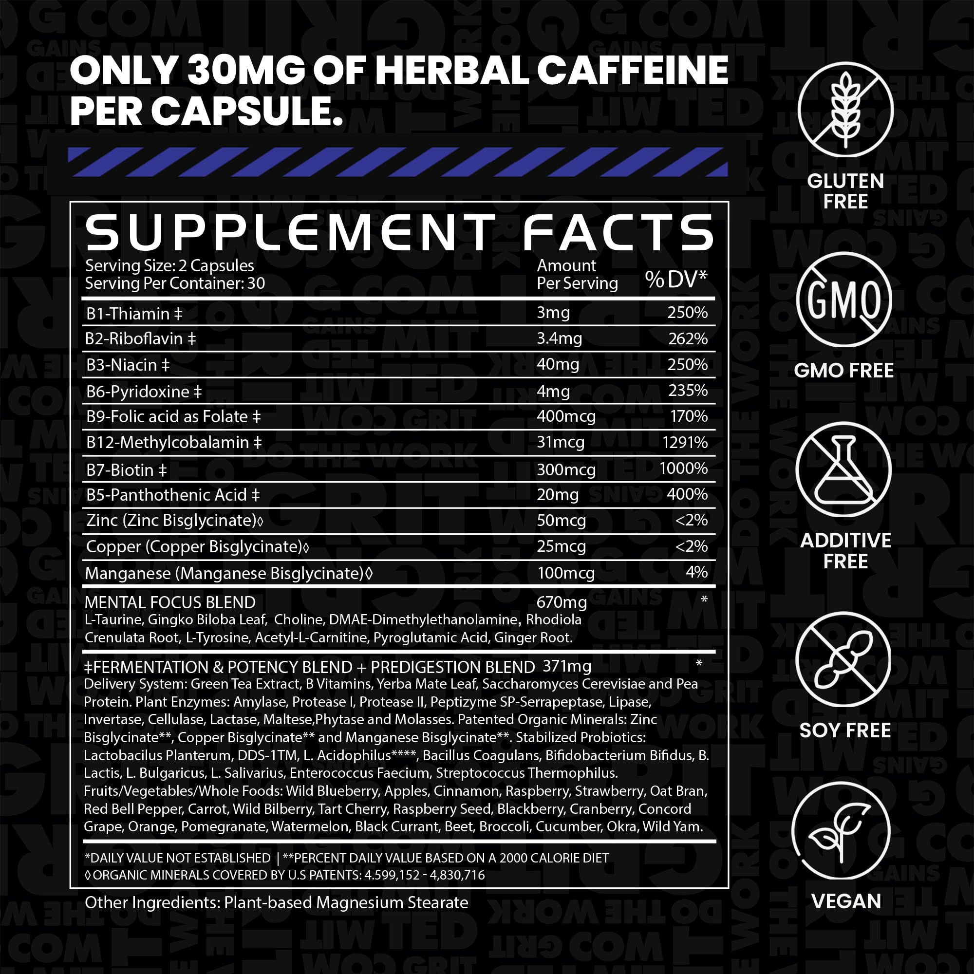 Gains in Bulk Elevated Nootropic – Herbal Energy, Ginkgo Biloba, B Vitamins, DMAE | Vegan, 60 Caps