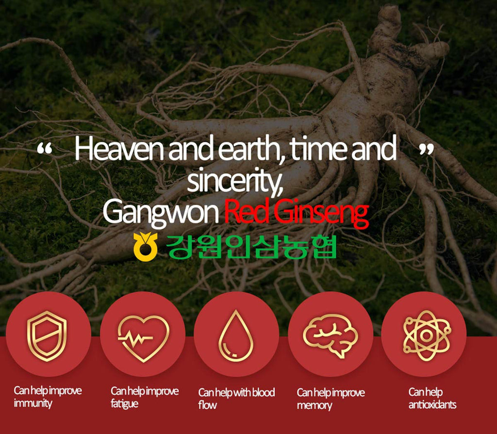 Gangwoninsam Korean Red Ginseng Tea – 6-Year-Old Red Ginseng, 3g x 100, Individually Packaged