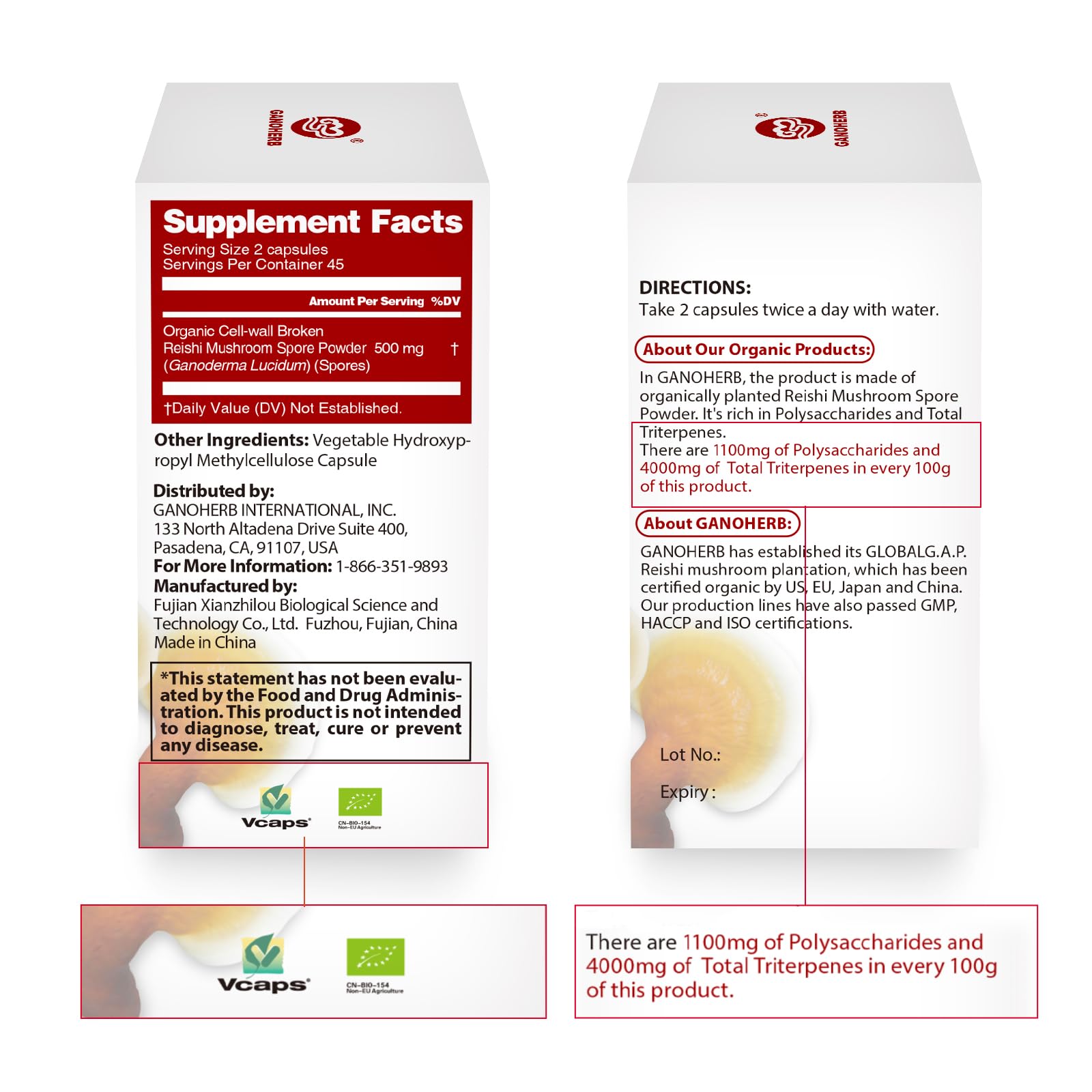 GANOHERB Organic Reishi Capsules – Immune Support, Vegan & Gluten Free