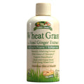 Garden Greens Wheat Grass Liquid with Ginger Extract – 32 Servings