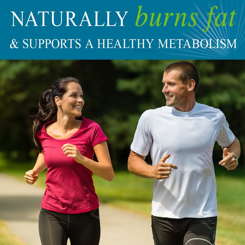 Garden of Life FucoThin Fucoxanthin Supplements – Non-Stimulant Fat Burner, 90 Softgels
