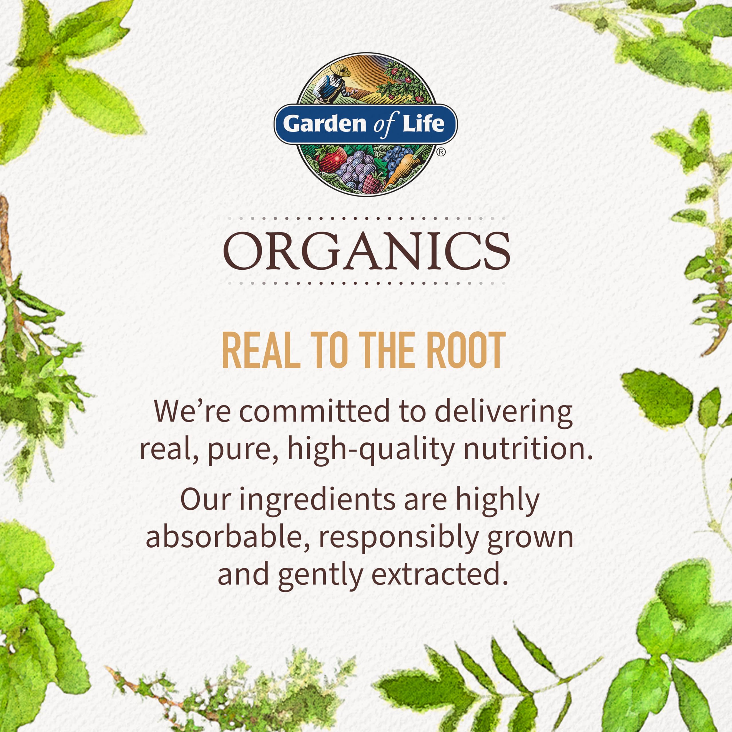 Garden of Life Organics Men's Multi – Certified Organic Vegan Multivitamin, 120 Tablets
