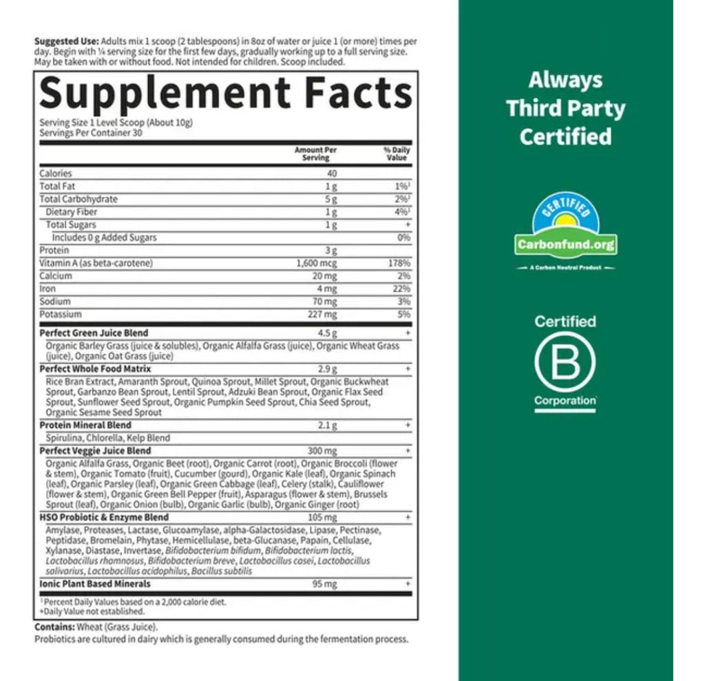 Garden Of Life Perfect Food Powder Super Green - 10.58 oz