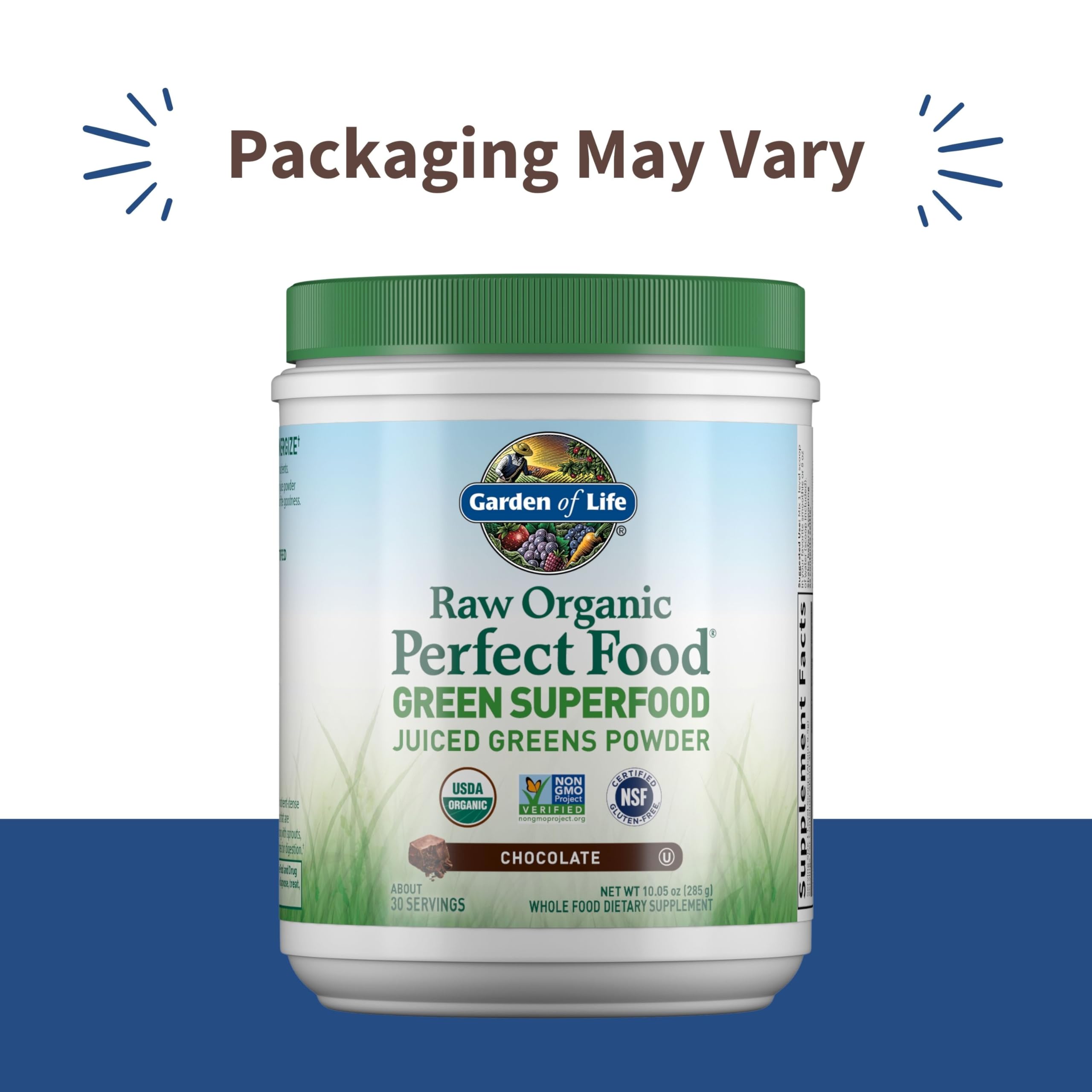 Garden of Life Raw Organic Perfect Food Chocolate – Green Superfood with Probiotics & Enzymes