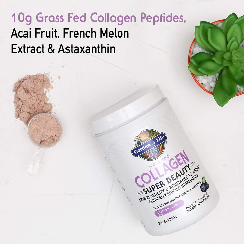 Garden of Life Grass Fed Collagen Super Beauty Powder – Blueberry Acai, 20 Servings