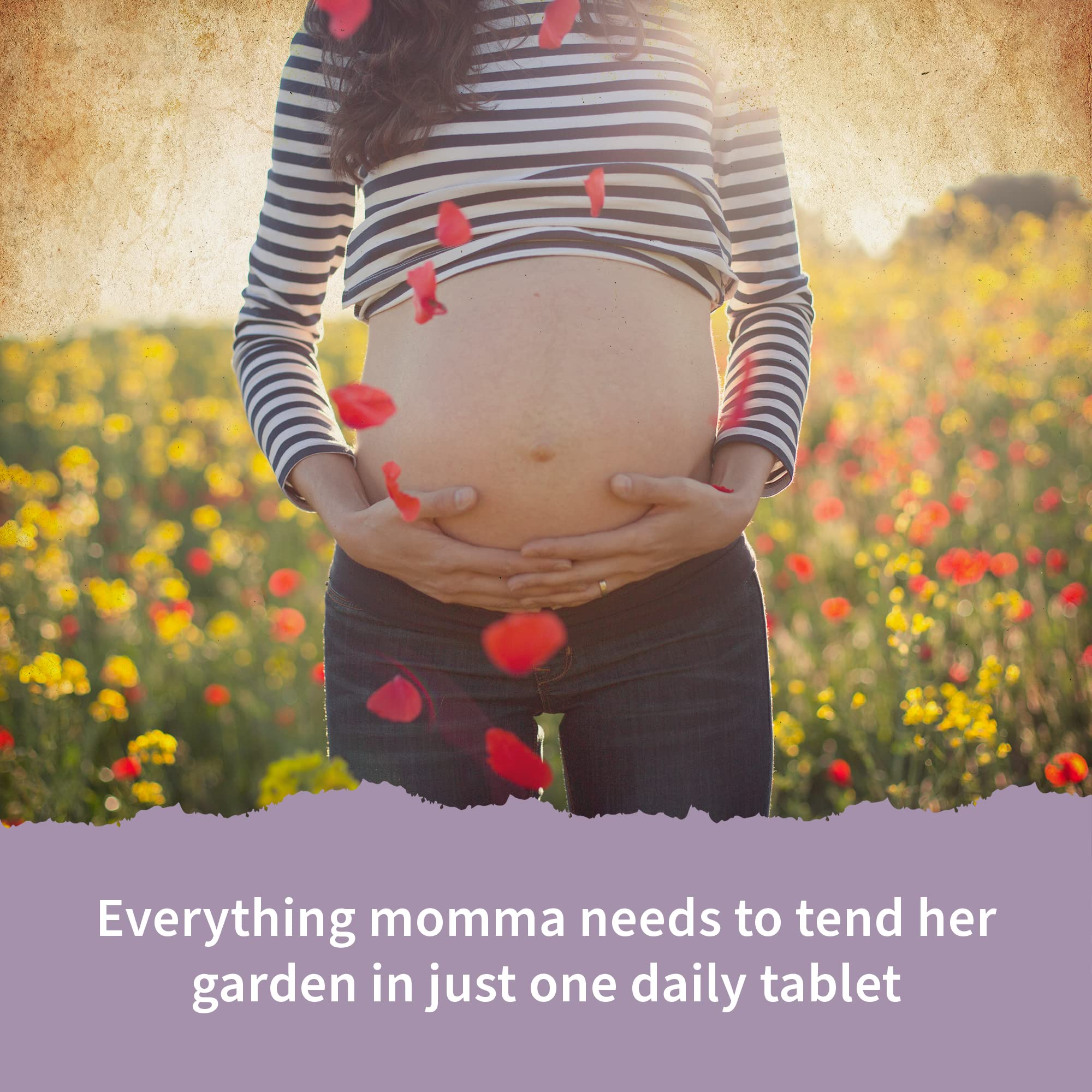 Garden of Life Organics Prenatal Vitamin – Organic, Non-GMO, Gluten-Free, Vegan Prenatal Multivitamin | Folate, Iron, D3, B6, B12, C | 30 Day Supply