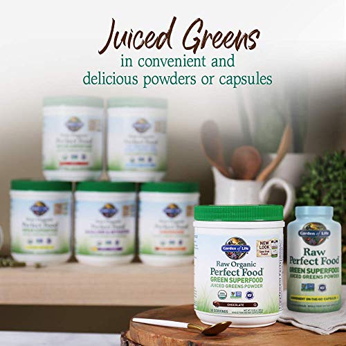 Garden of Life Raw Organic Perfect Food Chocolate – Green Superfood with Probiotics & Enzymes