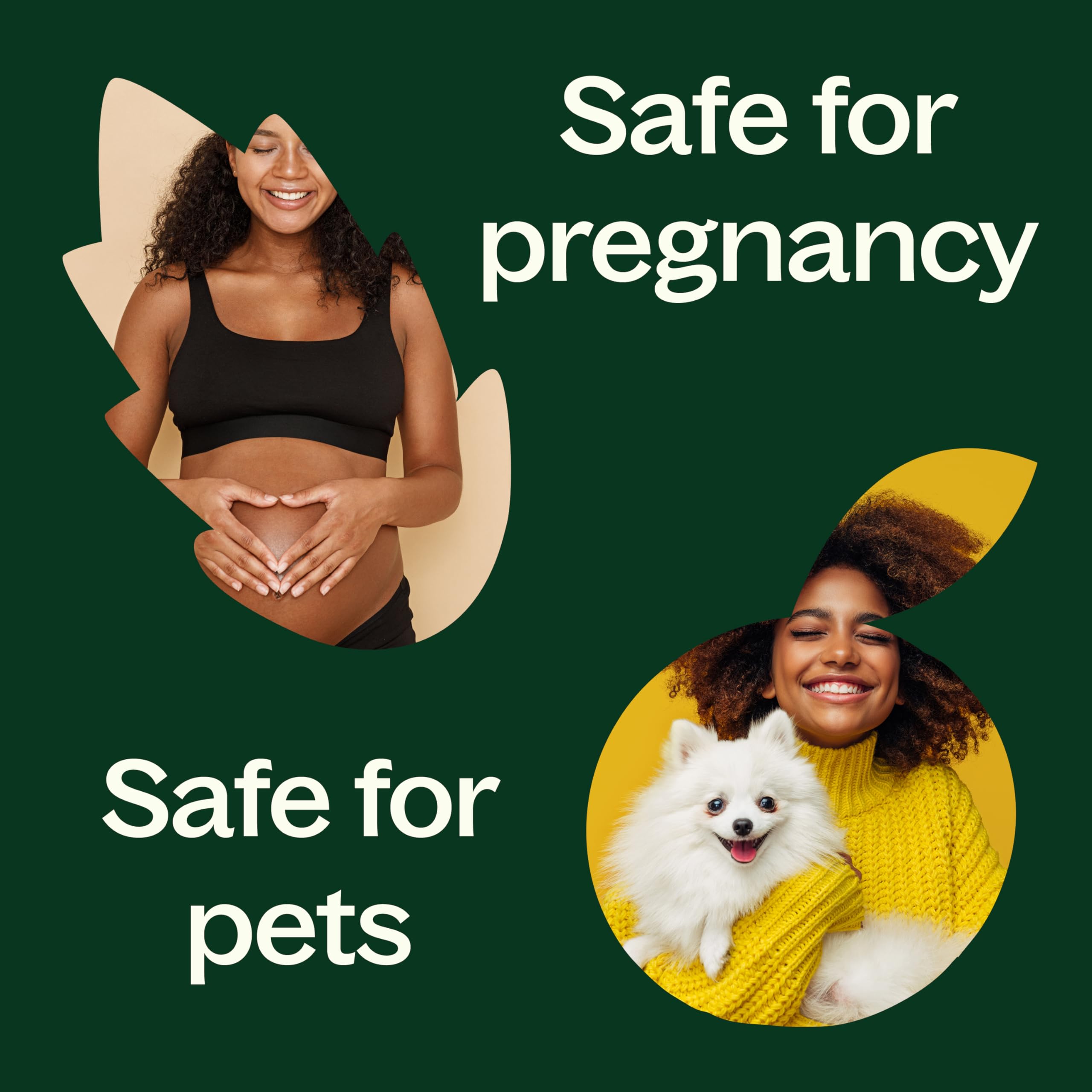 Plant Therapy Organic Peppermint Essential Oil 30 mL - 100% Pure, USDA Organic
