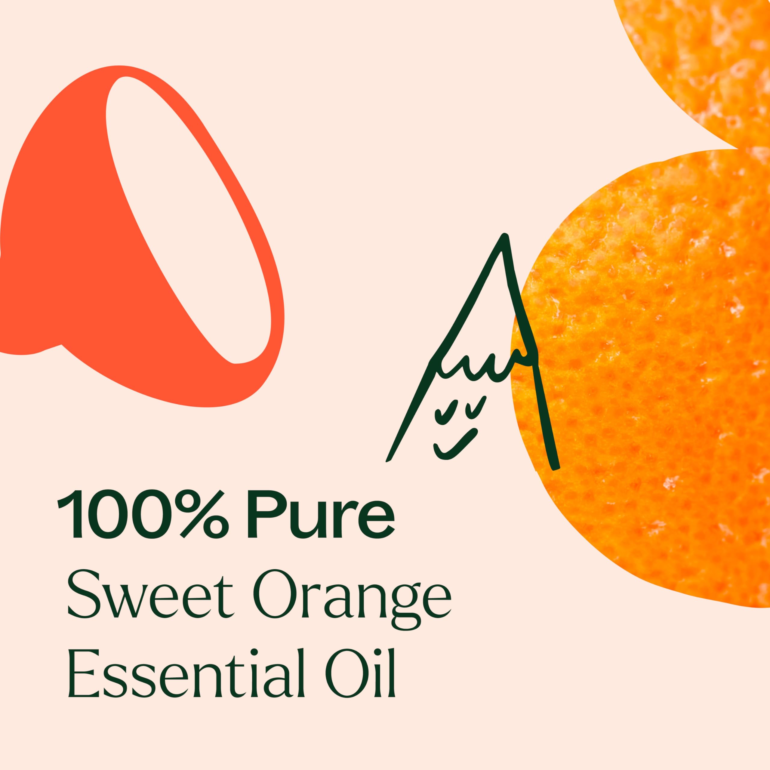 Plant Therapy Sweet Orange Essential Oil 30 mL | 100% Pure & Undiluted