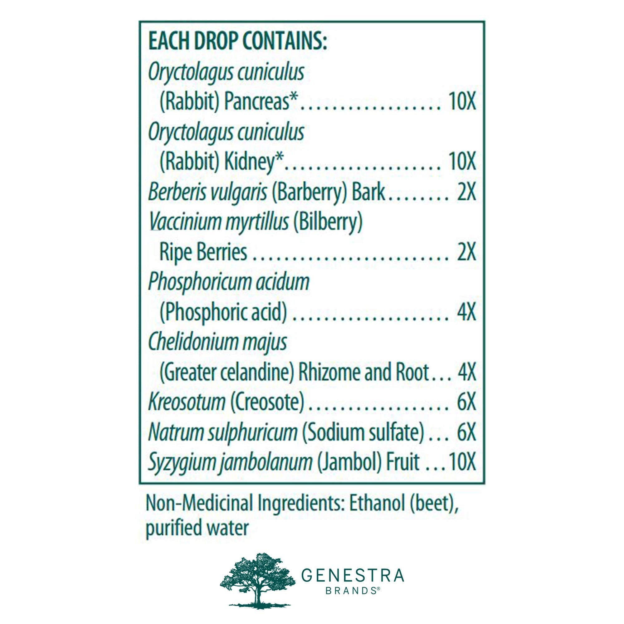 Genestra Brands HPNP | Organotherapy and Homeopathic Remedy | 1 fl oz