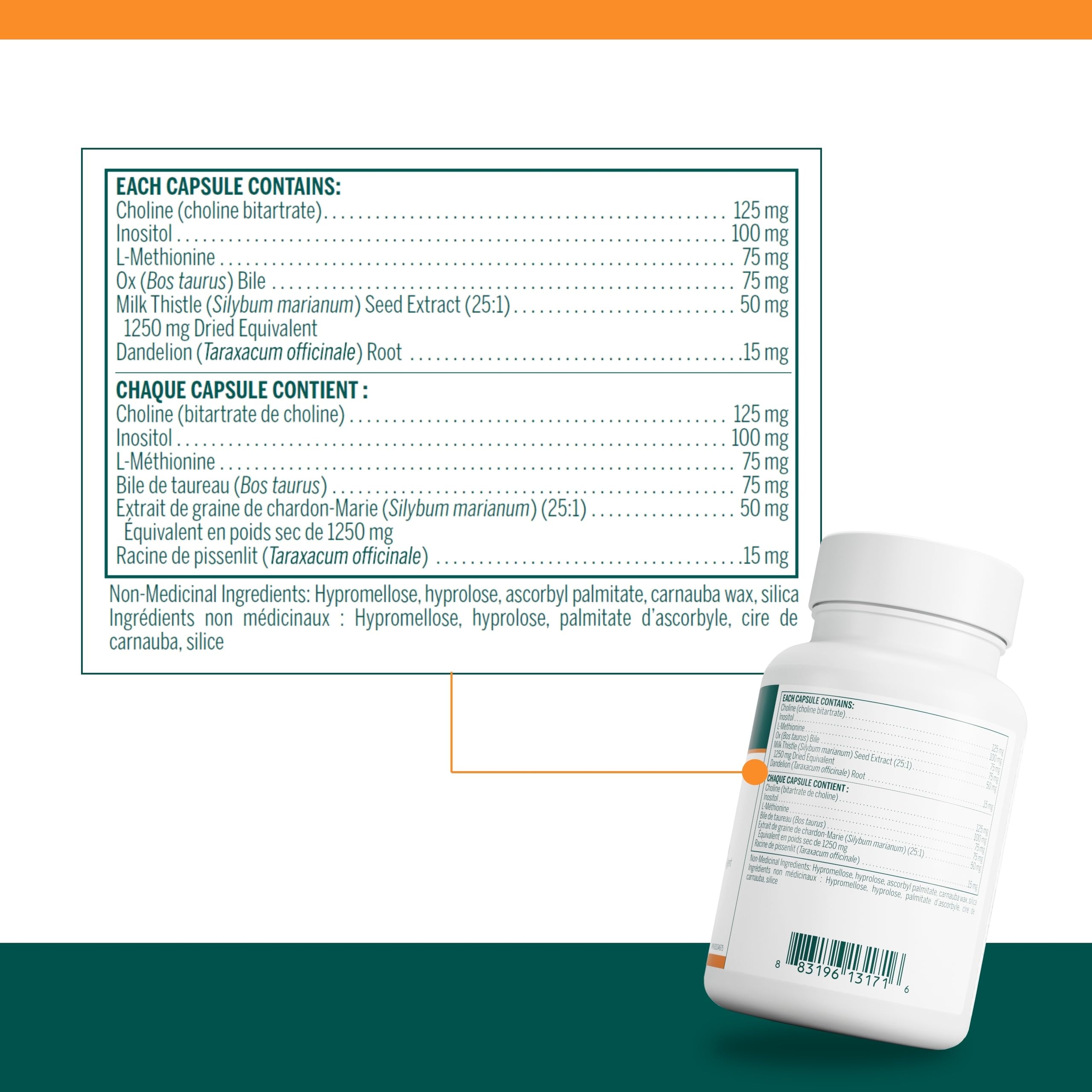Genestra Ichol Plus Digestive Supplement – 90 Capsules | Genestra Brands