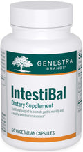 Genestra Brands IntestiBal – Digestive Support with Ginger & Wormwood Essential Oils | 60 Capsules