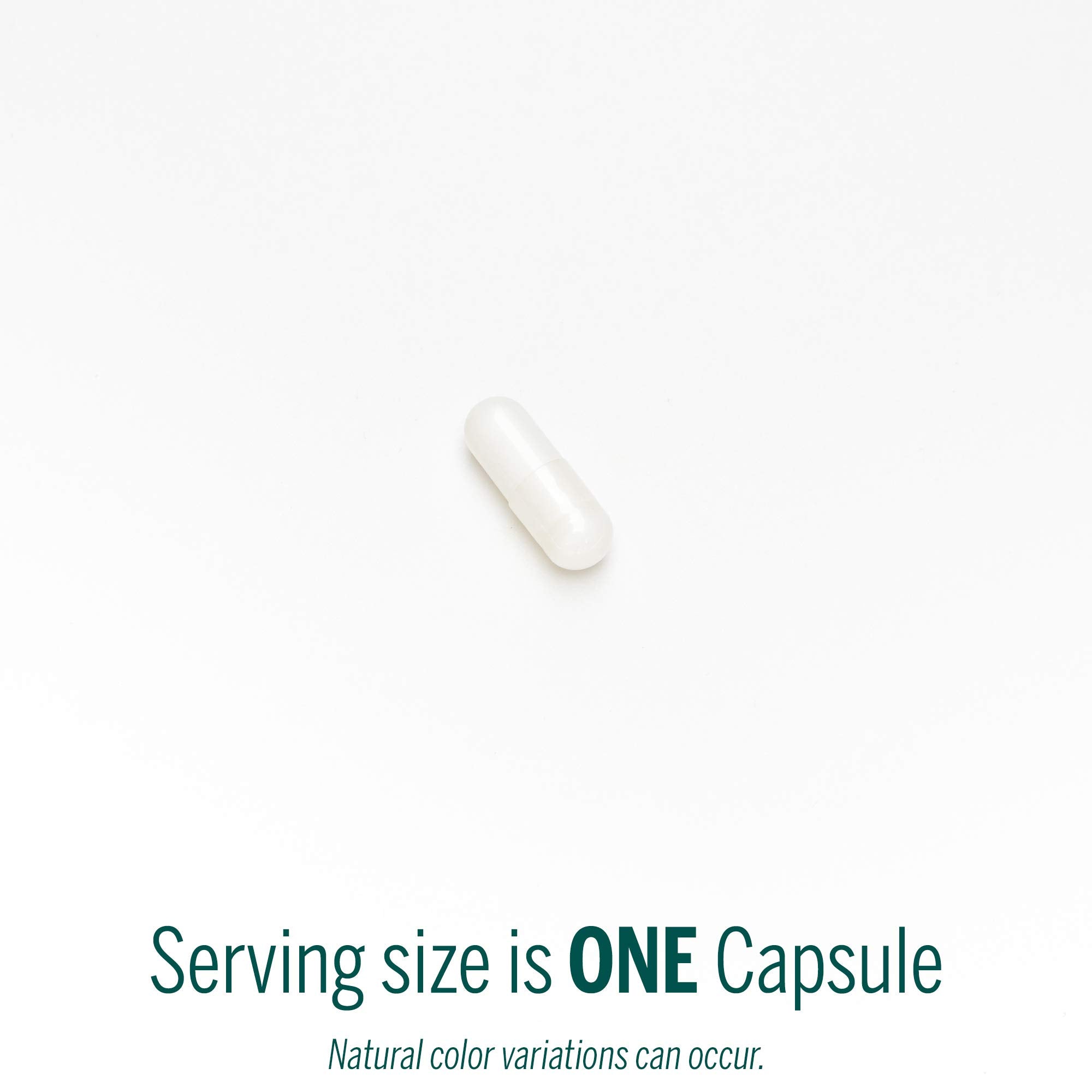 Genestra Brands Zinc Picolinate Formula | Supports Immunity, Skin & Connective Tissue | 60 Capsules
