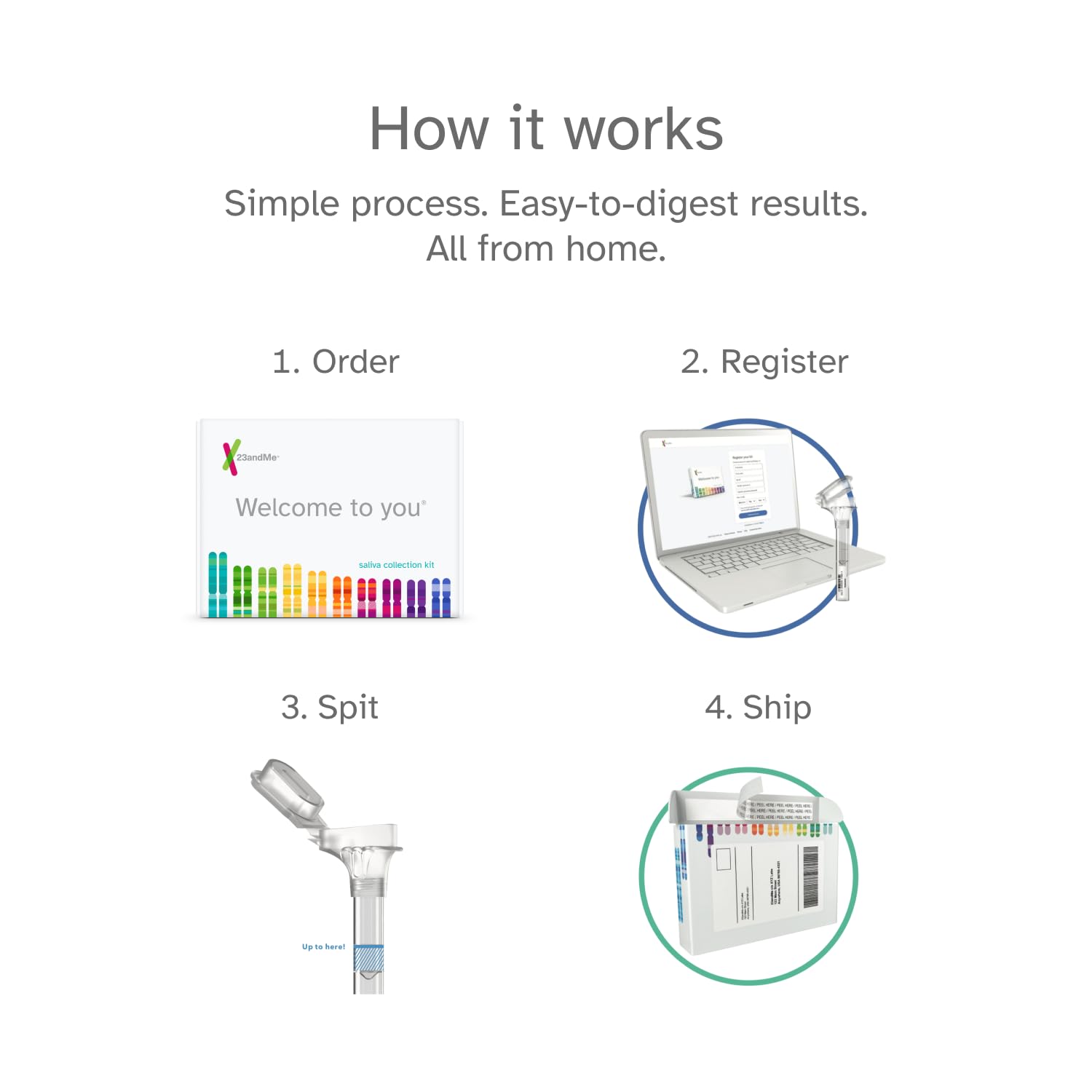 23andMe Health-Only Service – DNA Test with Personal Genetic Reports (Health Predispositions, Carrier Status & Wellness)