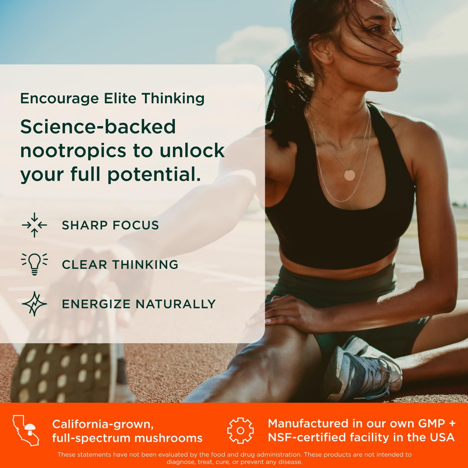 Genius Consciousness Nootropic Powder – Focus, Memory & Clarity | The Genius Brand – Watermelon