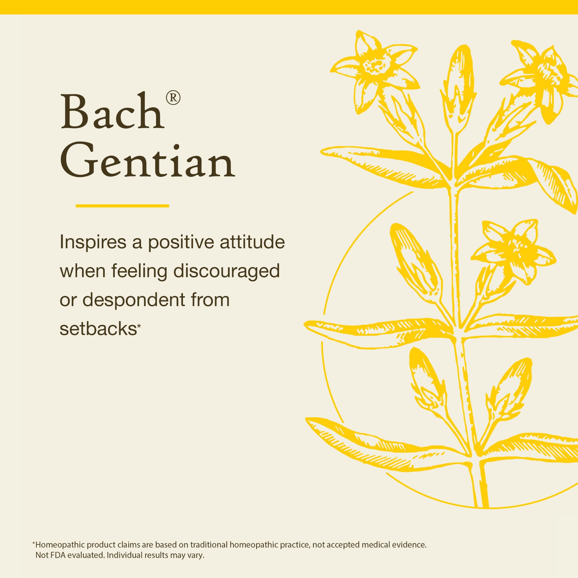 Gentian (Bach Original Flower Remedies) - Accept Setbacks - 20mL Dropper | Vegan, Gluten Free, Sugar Free