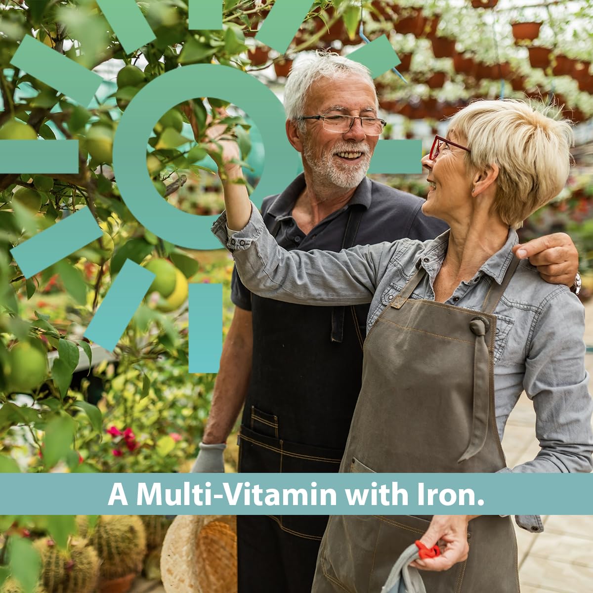 GeriCare One-Daily Multi-Vitamin with Iron Tablets - 100 Count (Pack of 1)