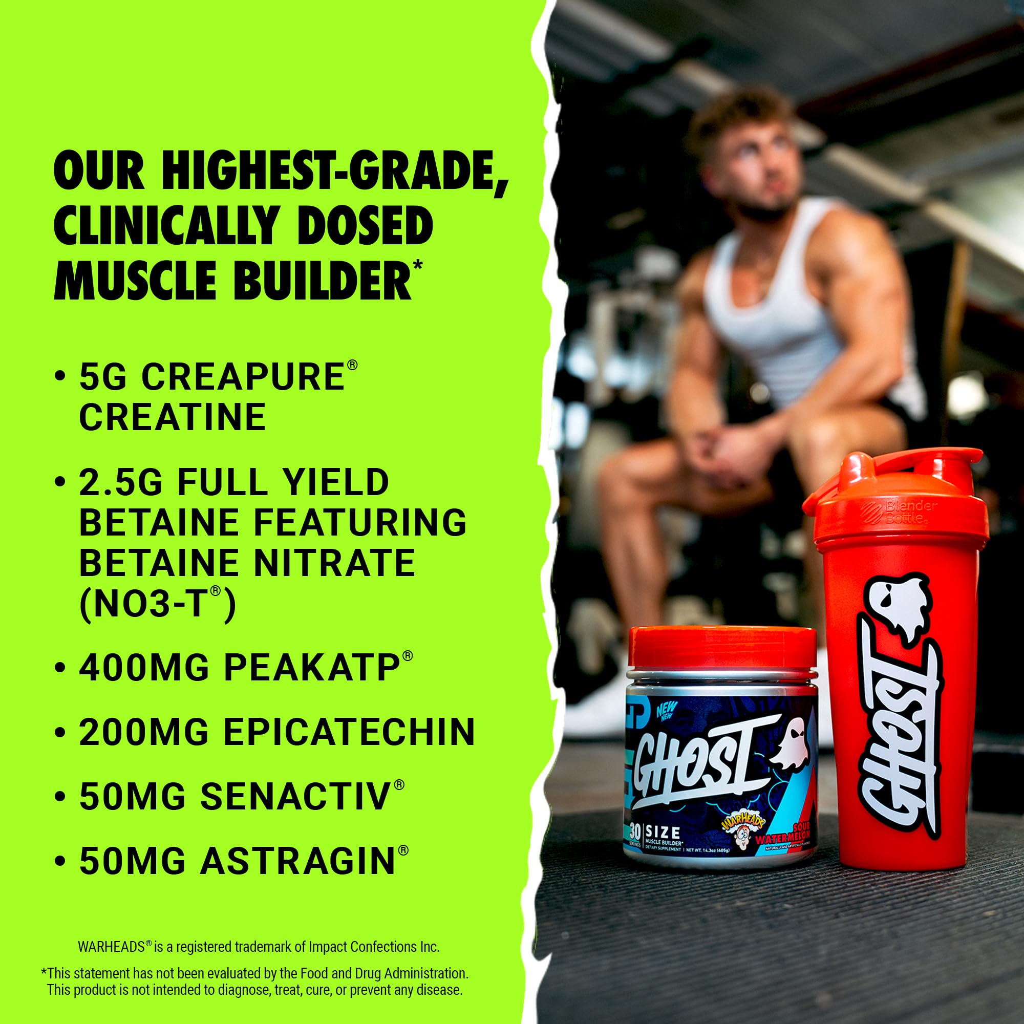 GHOST Size V3 Muscle Builder - Warheads Sour Watermelon, 30 Servings | Creatine, Betaine, Sugar-Free, Gluten-Free