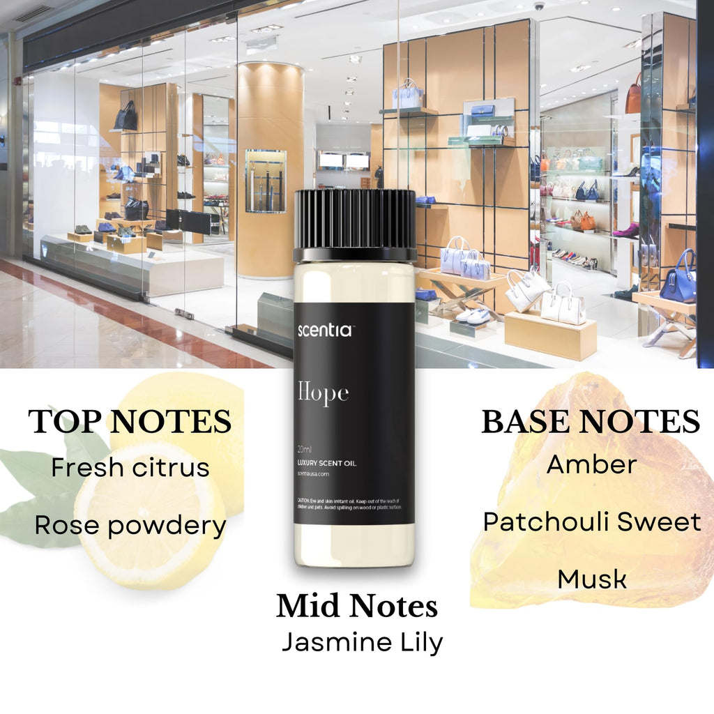 Perfume-Inspired Essential Oil Set – 3×20ml Diffuser Oils