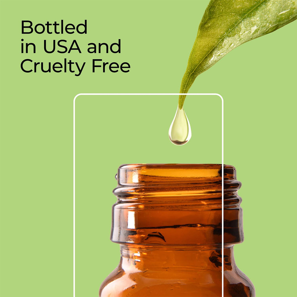 Good Essential Gingerbread Fragrance Oil 1 oz – Diffusers, Candles & Soaps