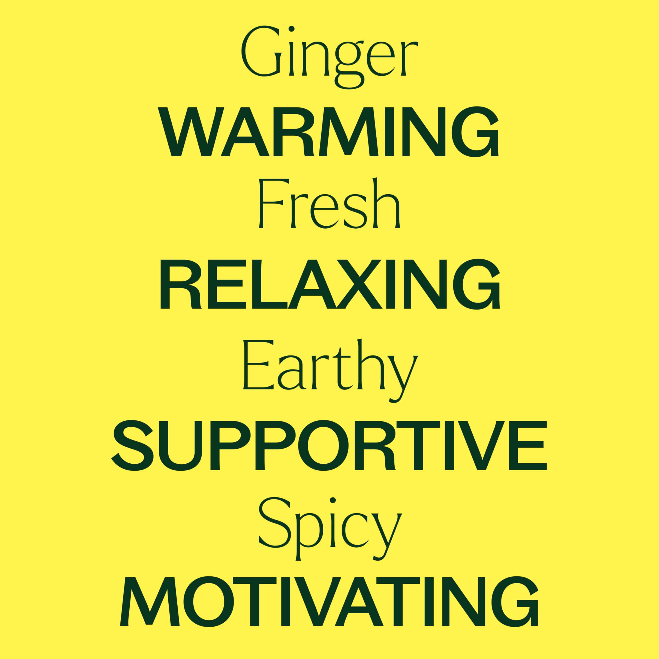 Plant Therapy Ginger Steam Distilled Essential Oil 10 mL (1/3 oz) 100% Pure, Undiluted, Natural Aromatherapy