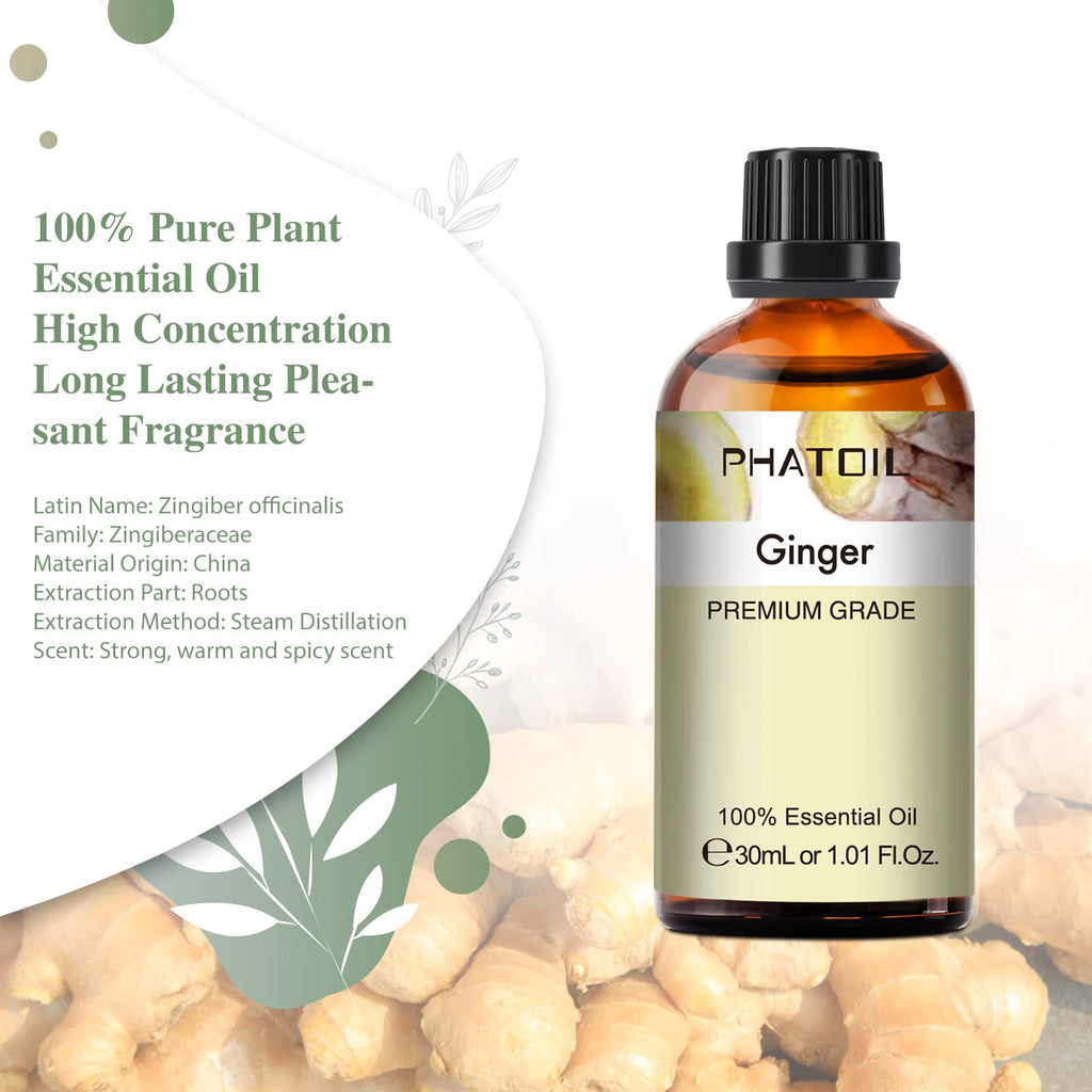 Ginger Essential Oil 30ML | PHATOIL Pure Essential Oil Singles for Aromatherapy, Diffusers, DIY Candles & Soaps