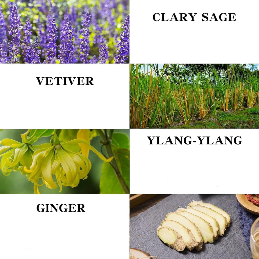 Ginger Massage Oil for Relaxing Muscles – Body & Skin Moisturizing, 8.8 oz