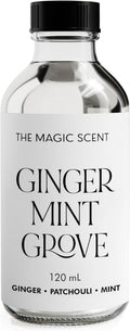 The Magic Scent Ginger Mint Grove Diffuser Oil - Luxury Hotel & Home Scents - 4 oz (120 mL)