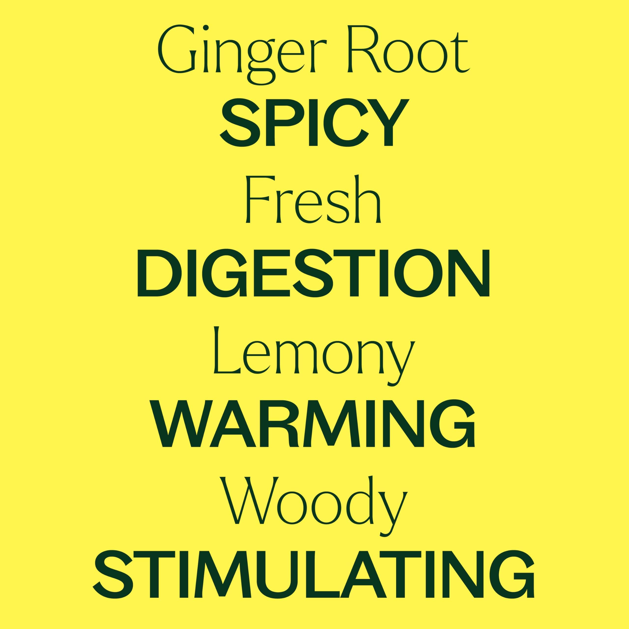 Plant Therapy Ginger Root CO2 Essential Oil - 100% Pure, Therapeutic Grade (10 mL)