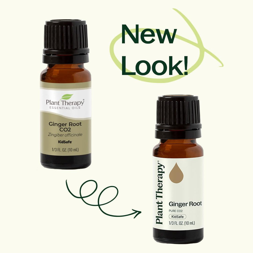 Plant Therapy Ginger Root CO2 Essential Oil - 100% Pure, Therapeutic Grade (10 mL)