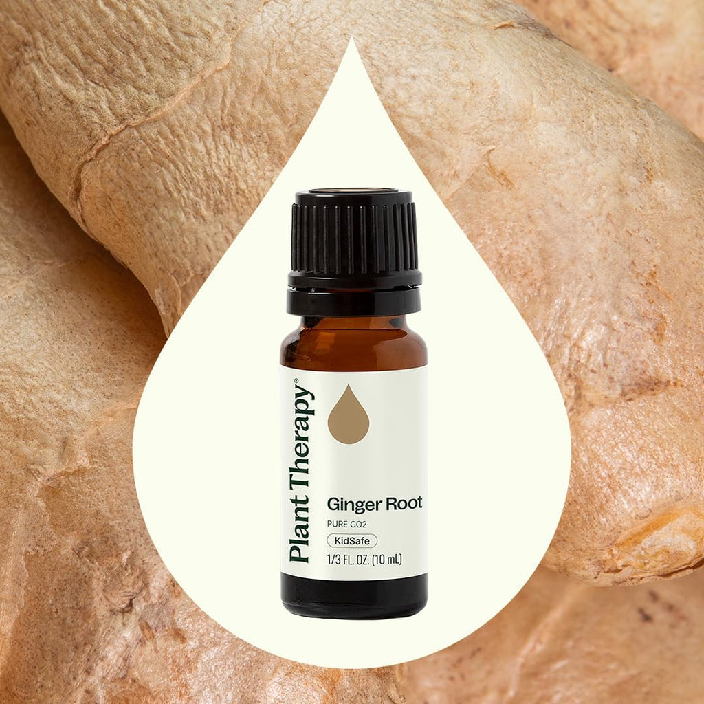 Plant Therapy Ginger Root CO2 Essential Oil - 100% Pure, Therapeutic Grade (10 mL)