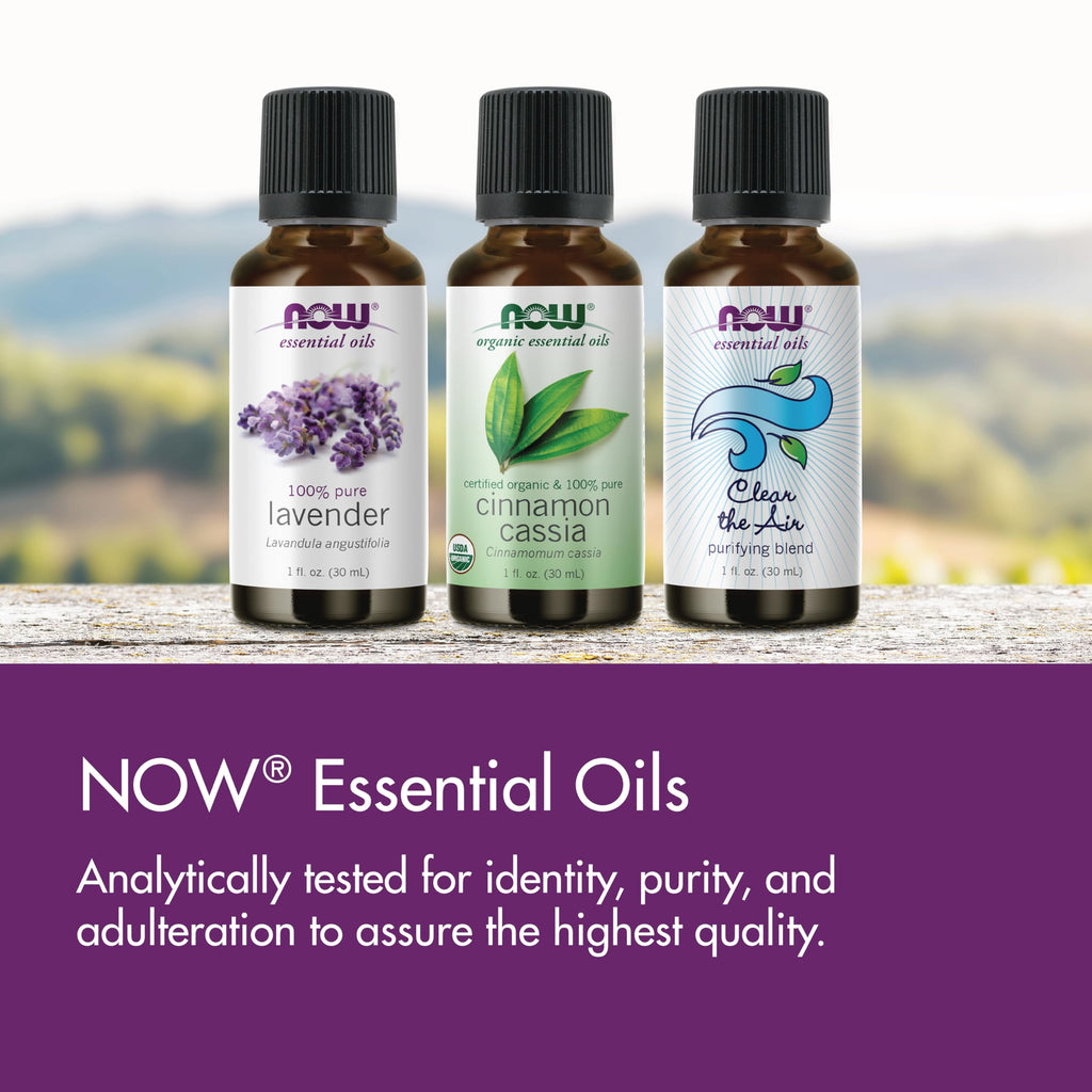 NOW Essential Oils Ginger Oil 1oz - Steam Distilled, 100% Pure