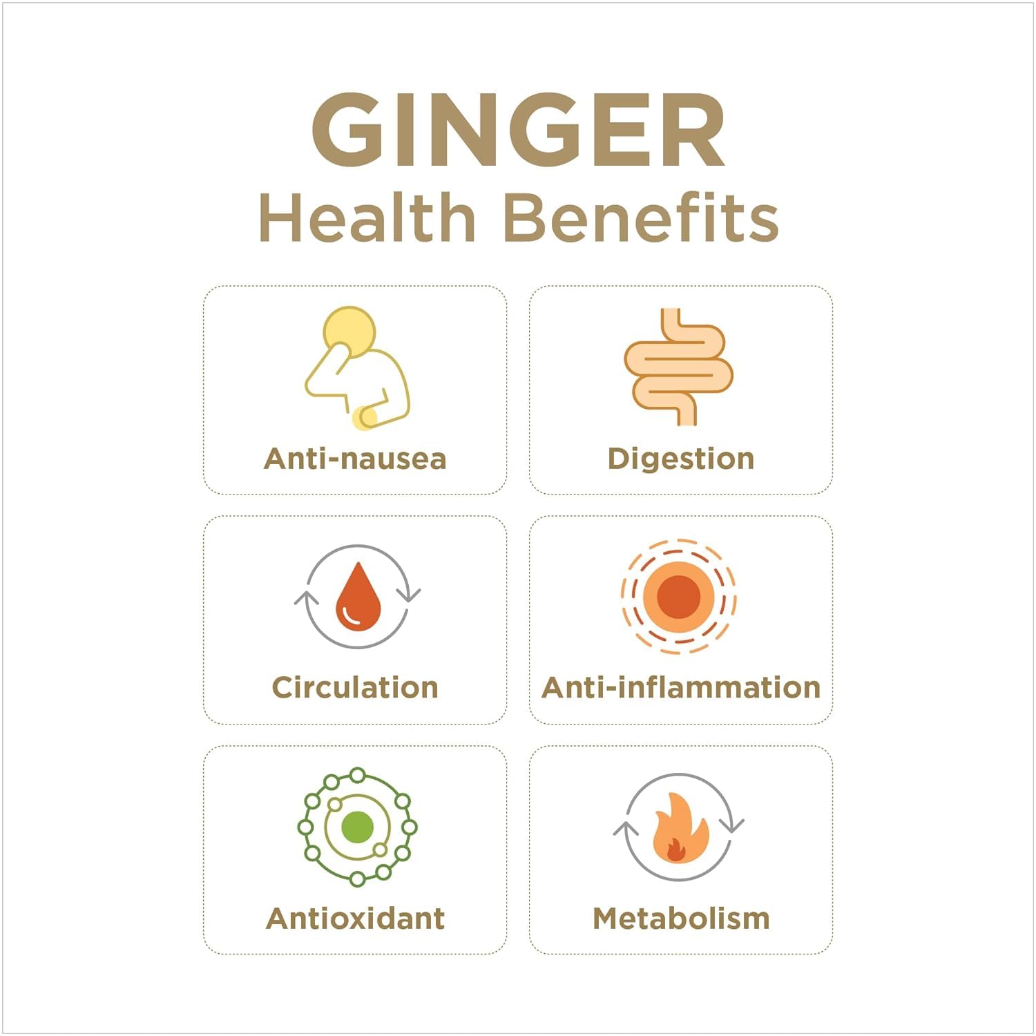 Ginger Rescue Chewable Tablets – The Ginger People | Drug Free Digestive Health, Strong Ginger Flavor, 24 Tablets